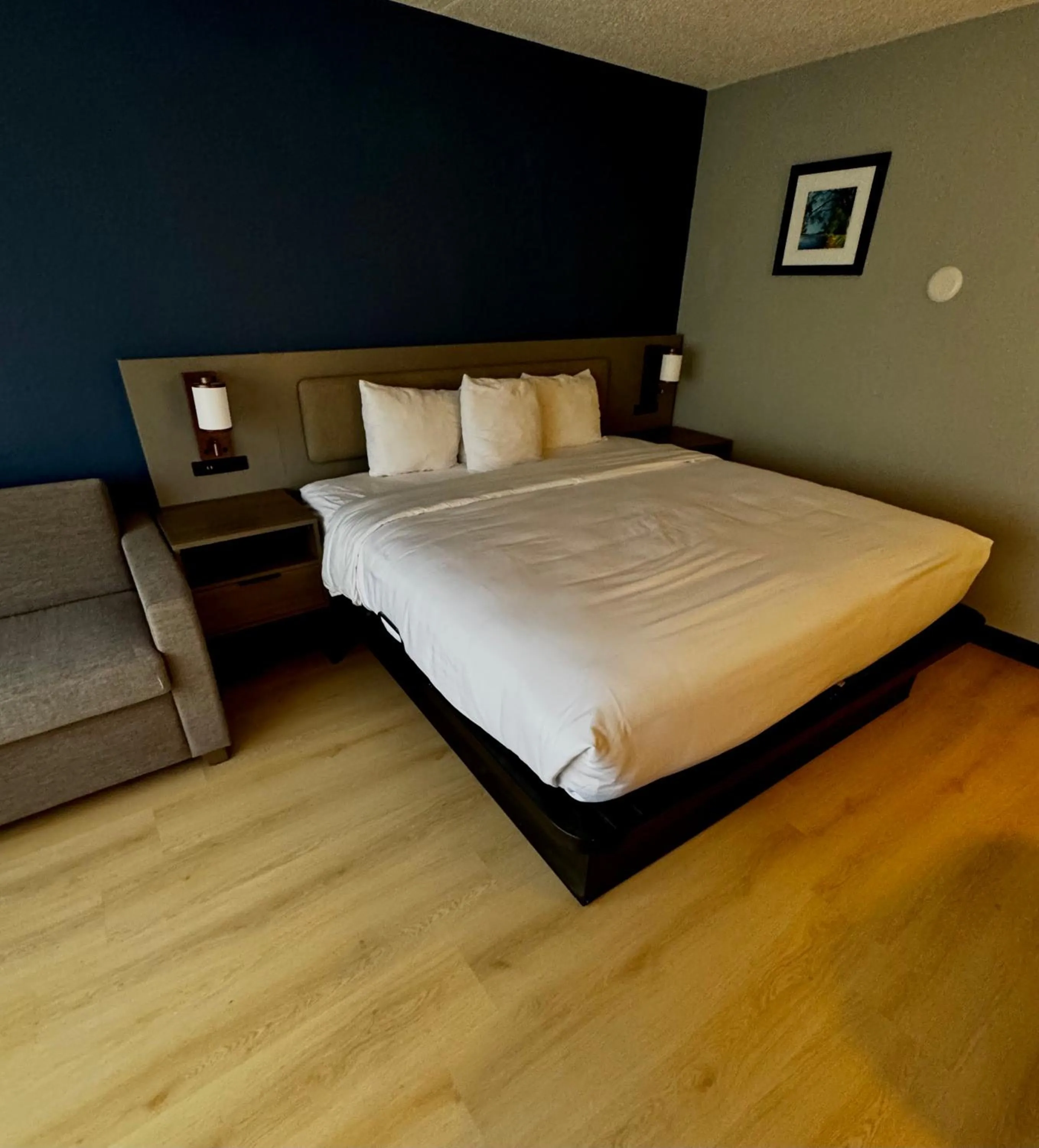 Comfort Inn & Suites Madison - Airport