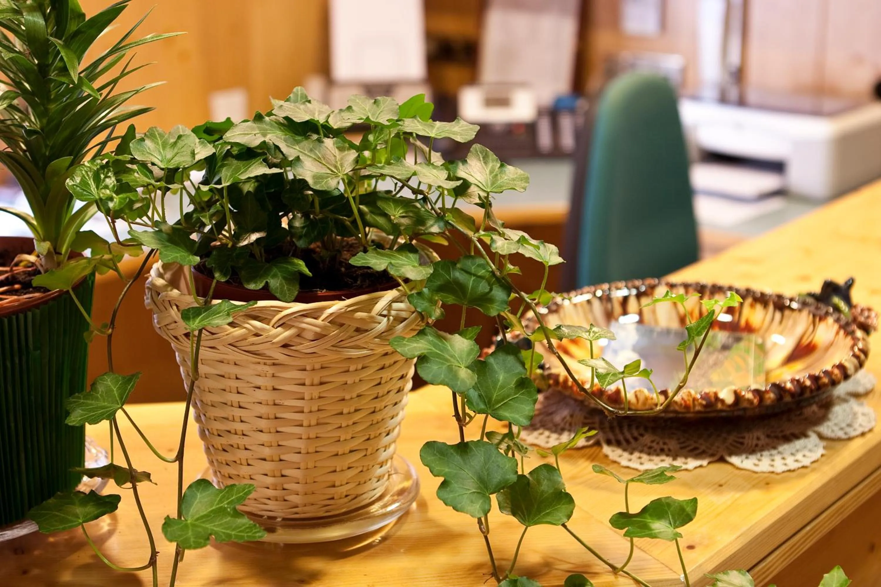 Decorative detail in Garni Appartments Helvetia