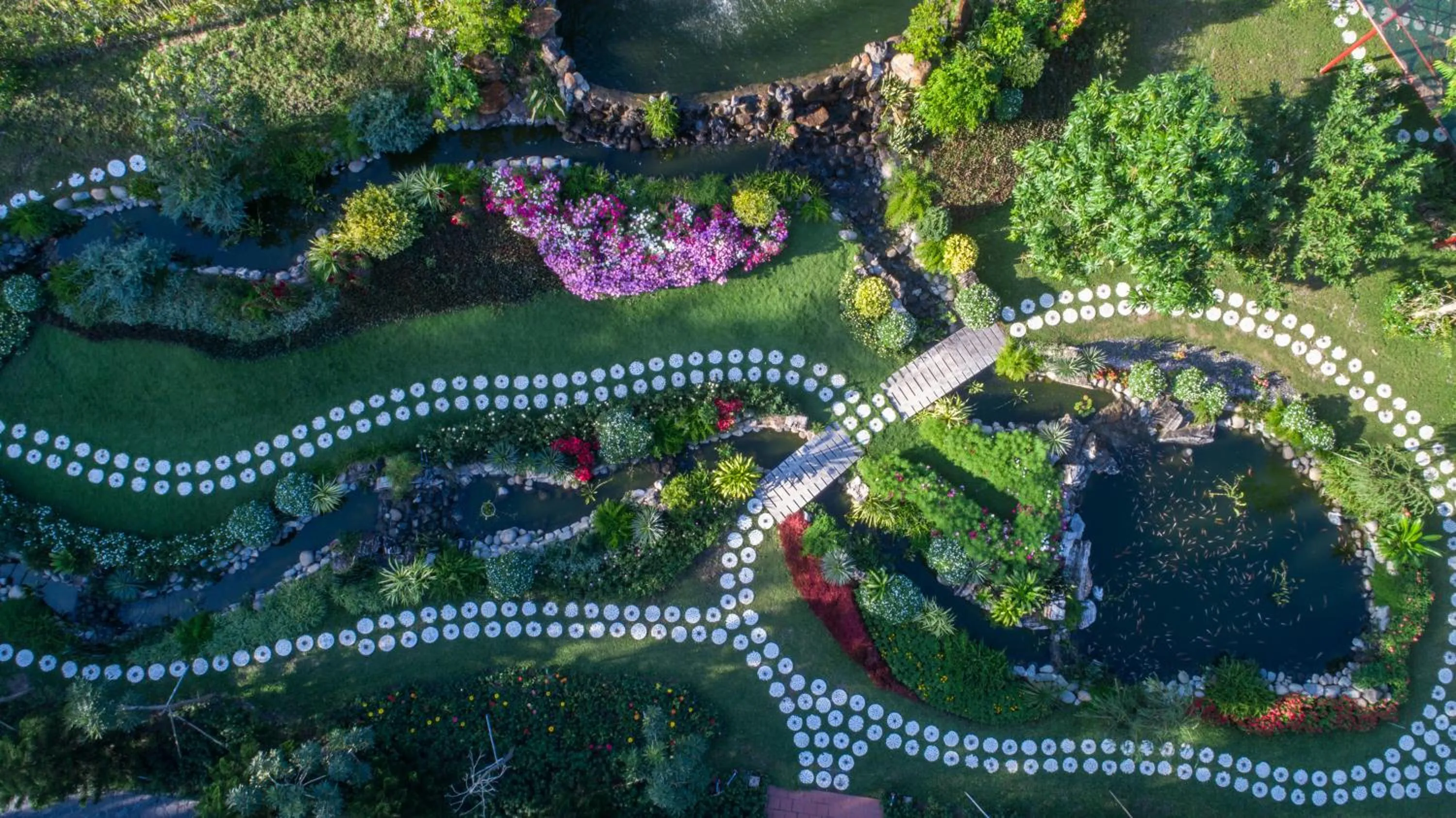 Garden in Carmelina Beach Resort Ho Tram