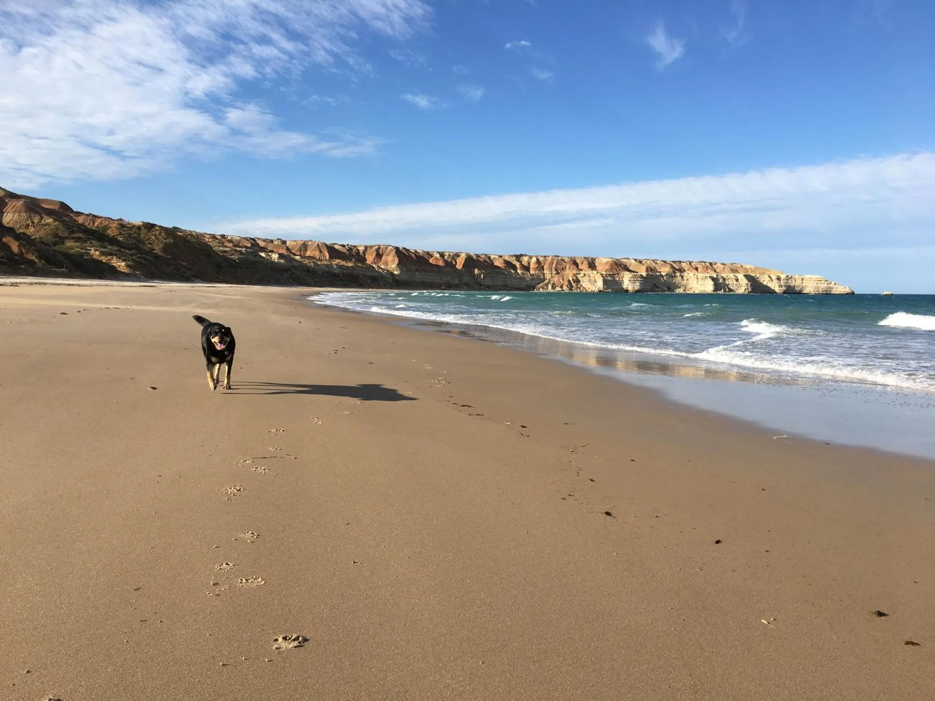 Nearby landmark in Hotel California Road at Inkwell Wines
