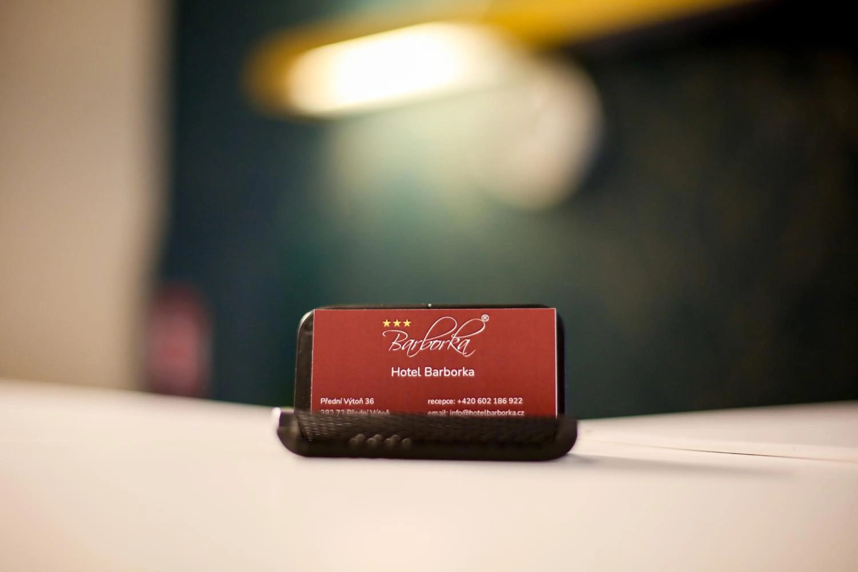 Property logo or sign in Hotel Barborka