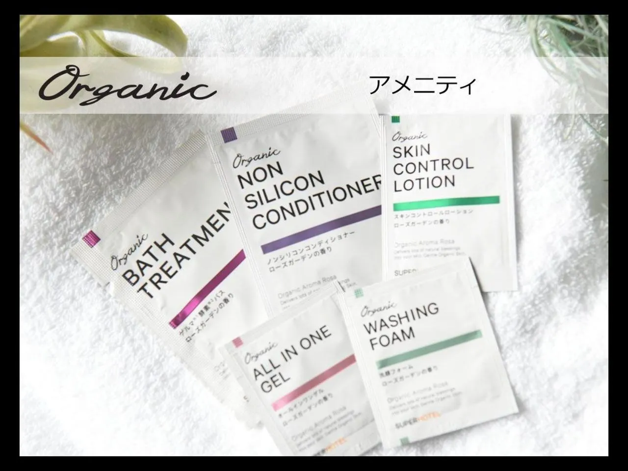 Other in Super Hotel Ishikari