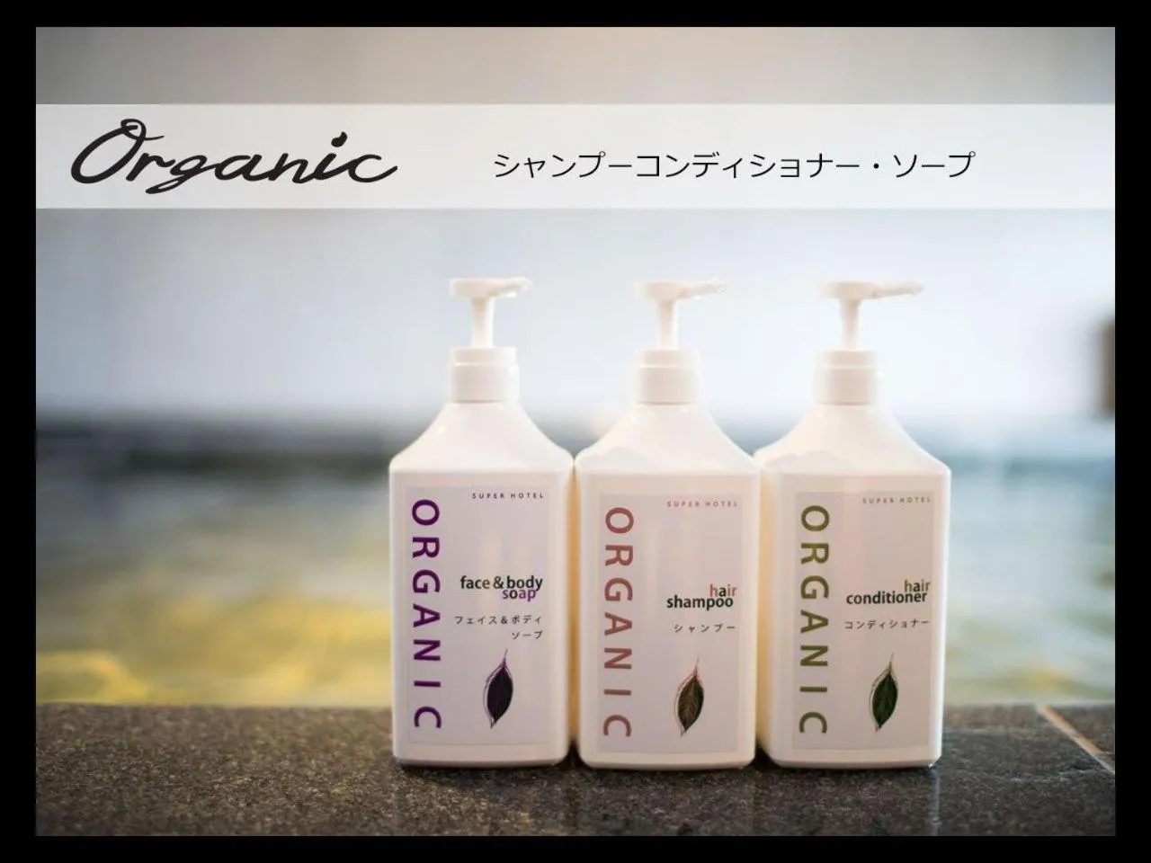 Bathroom in Super Hotel Ishikari