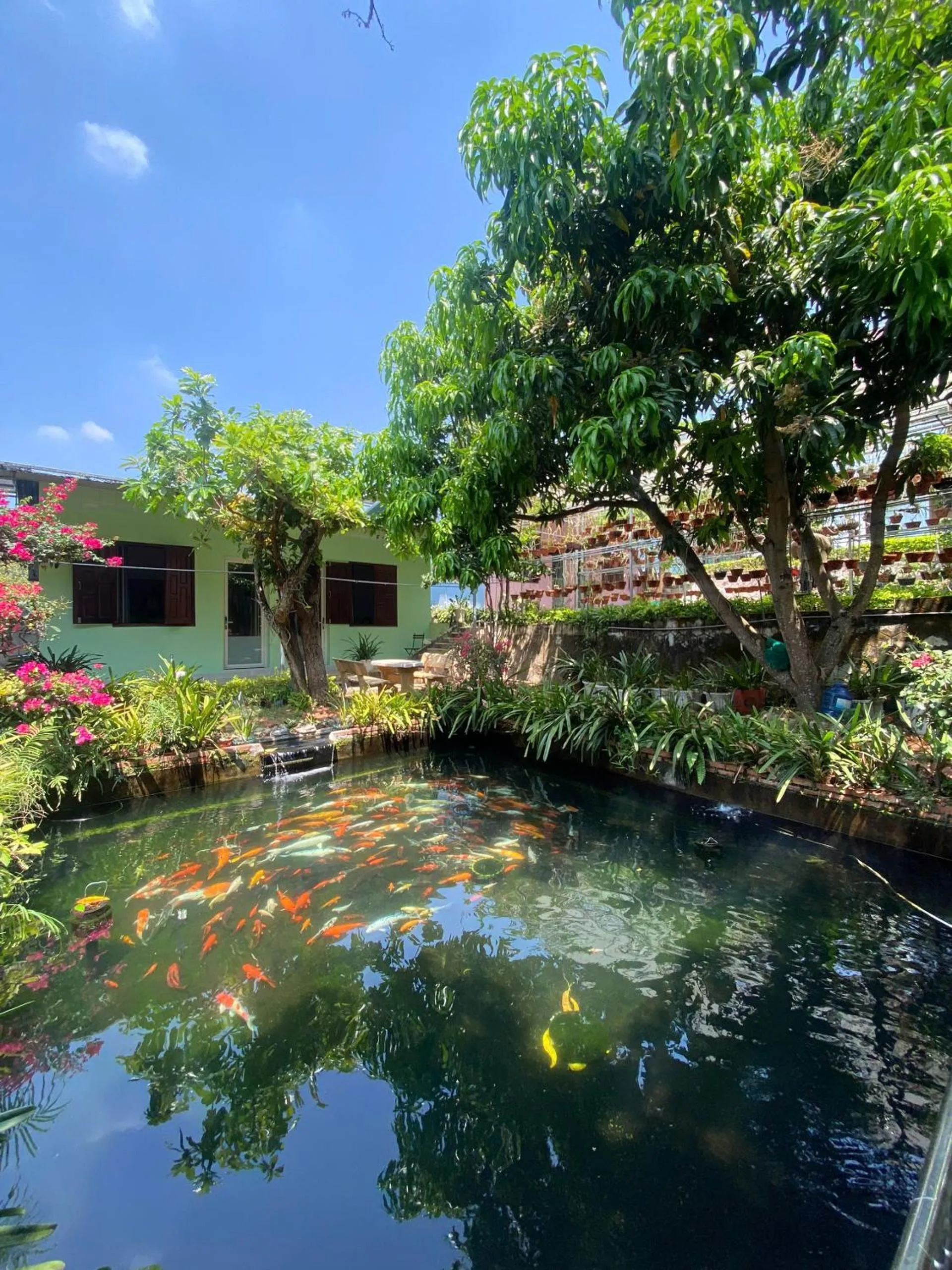 Nhà Nghỉ THẢO NGUYÊN XANH