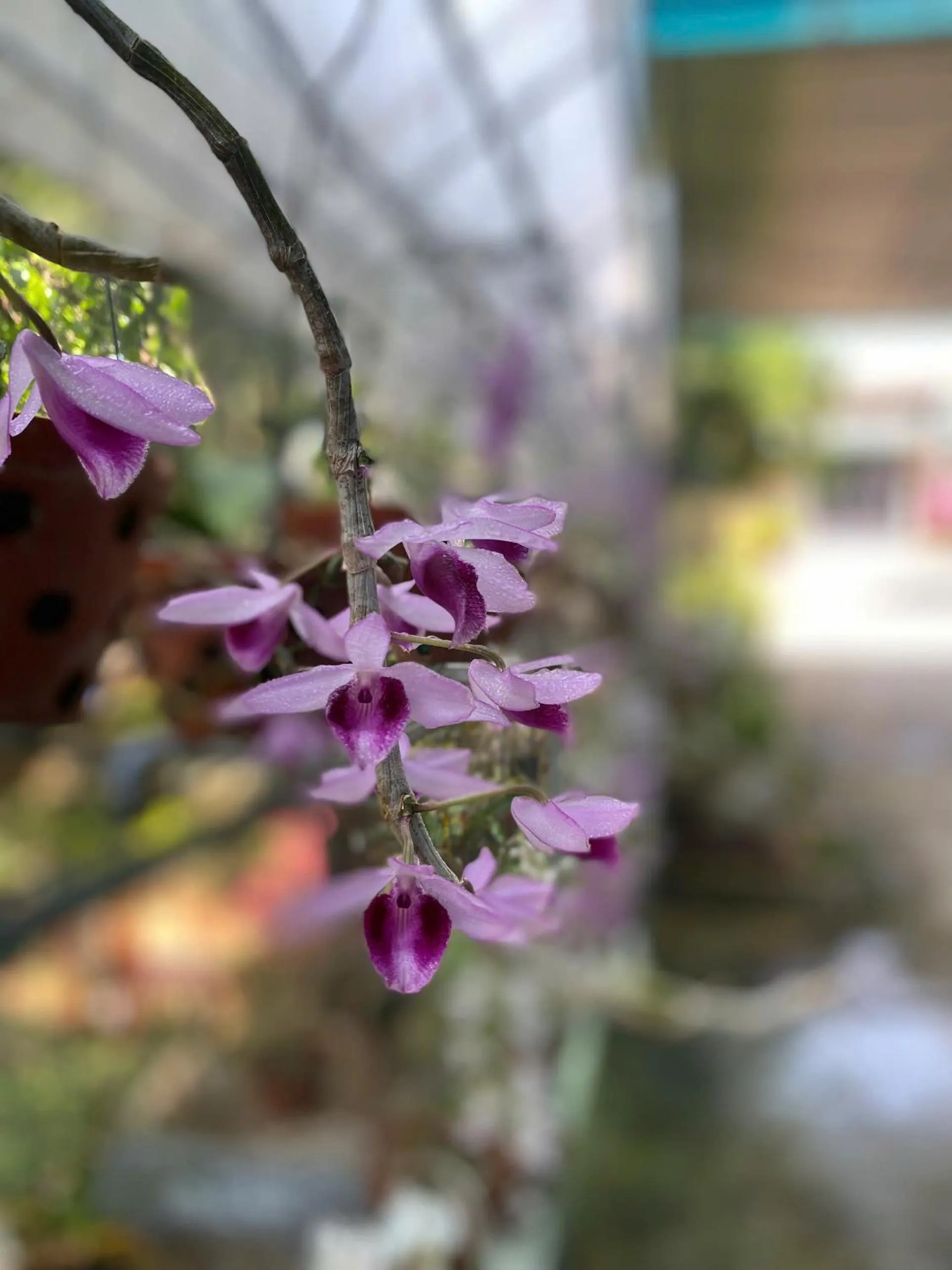 Property building in Nhà Nghỉ THẢO NGUYÊN XANH