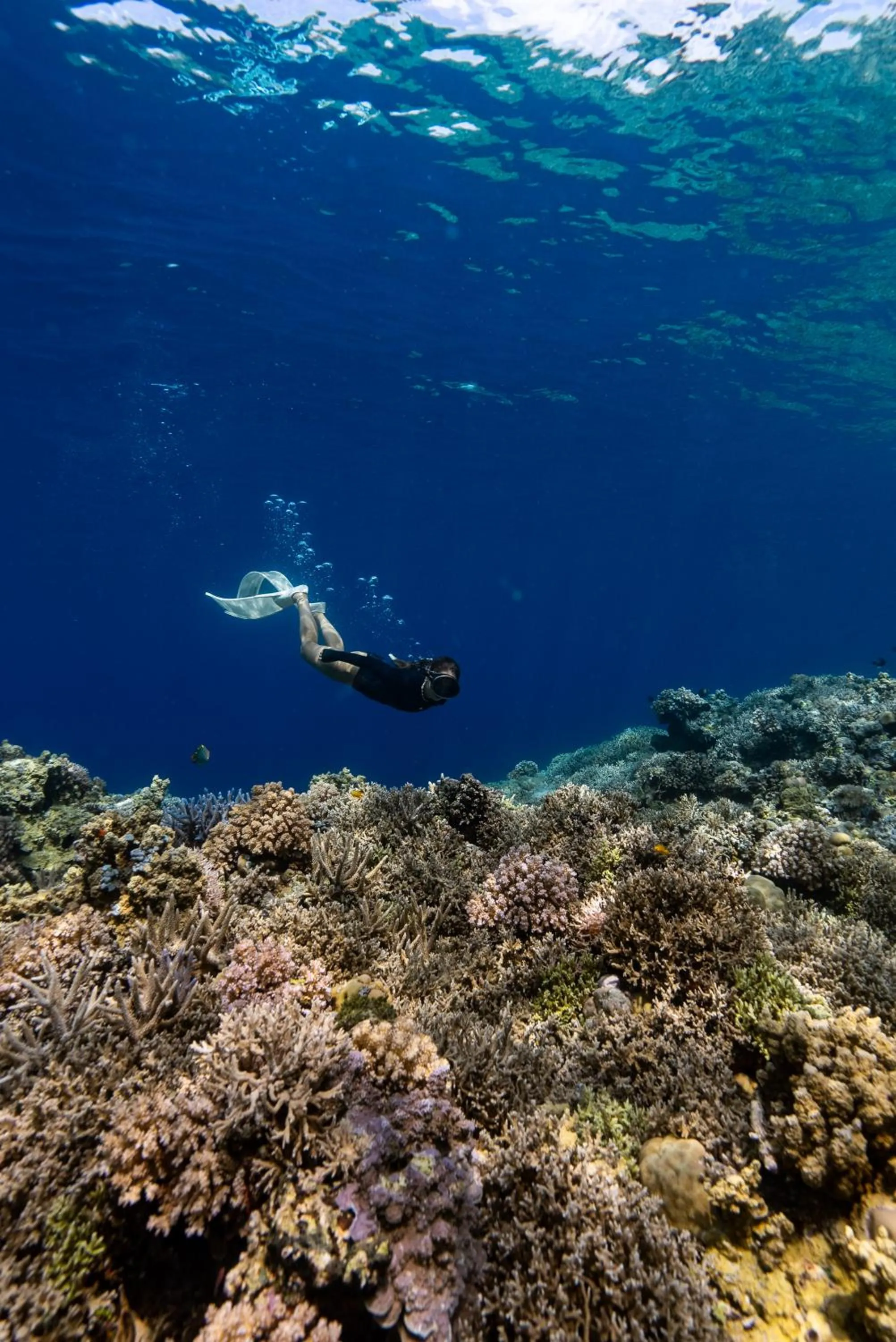 Reconnect - Private Island Resort & Dive Center Togean - Buka Buka Island