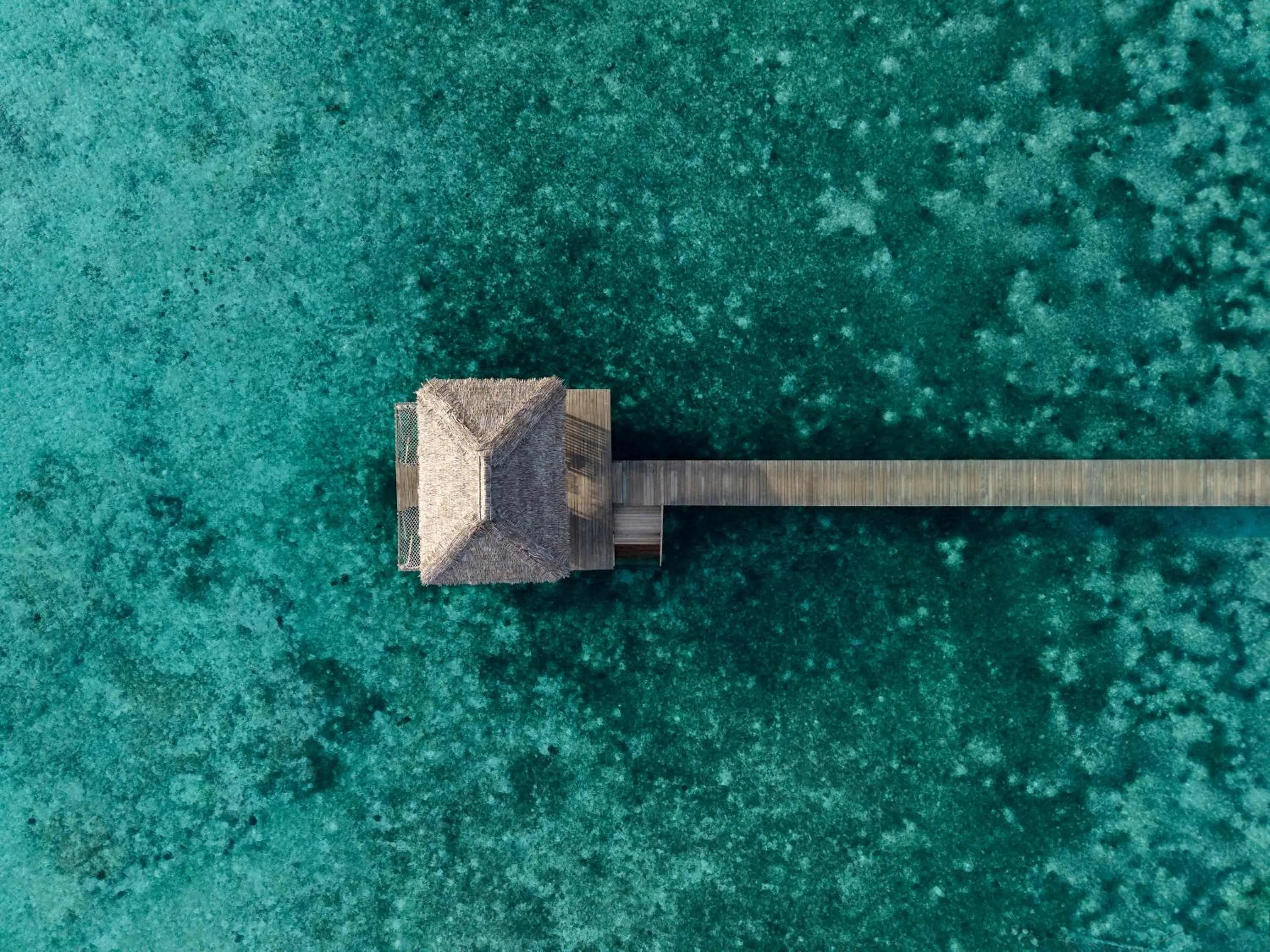 Reconnect - Private Island Resort & Dive Center Togean - Buka Buka Island