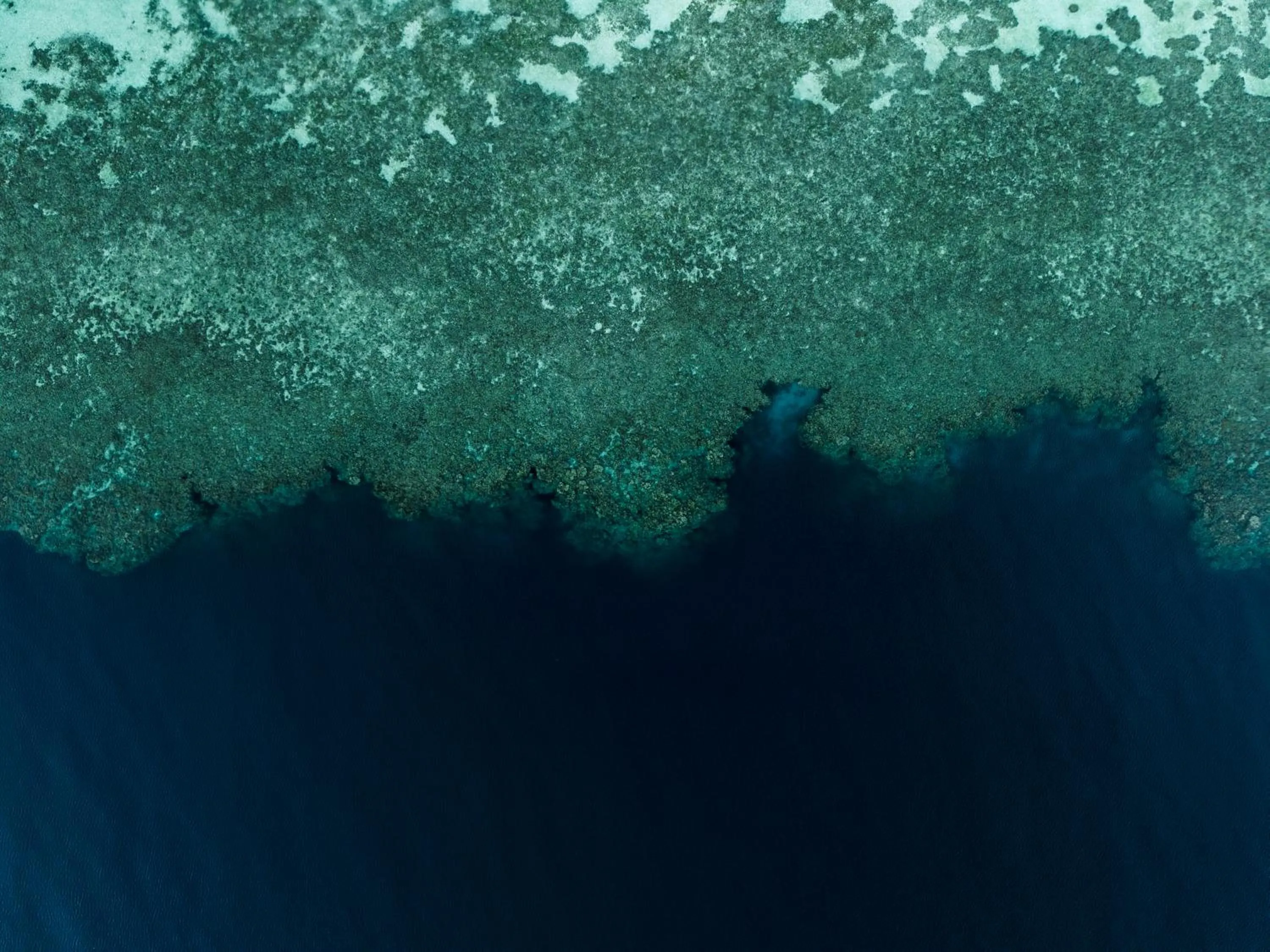 Reconnect - Private Island Resort & Dive Center Togean - Buka Buka Island