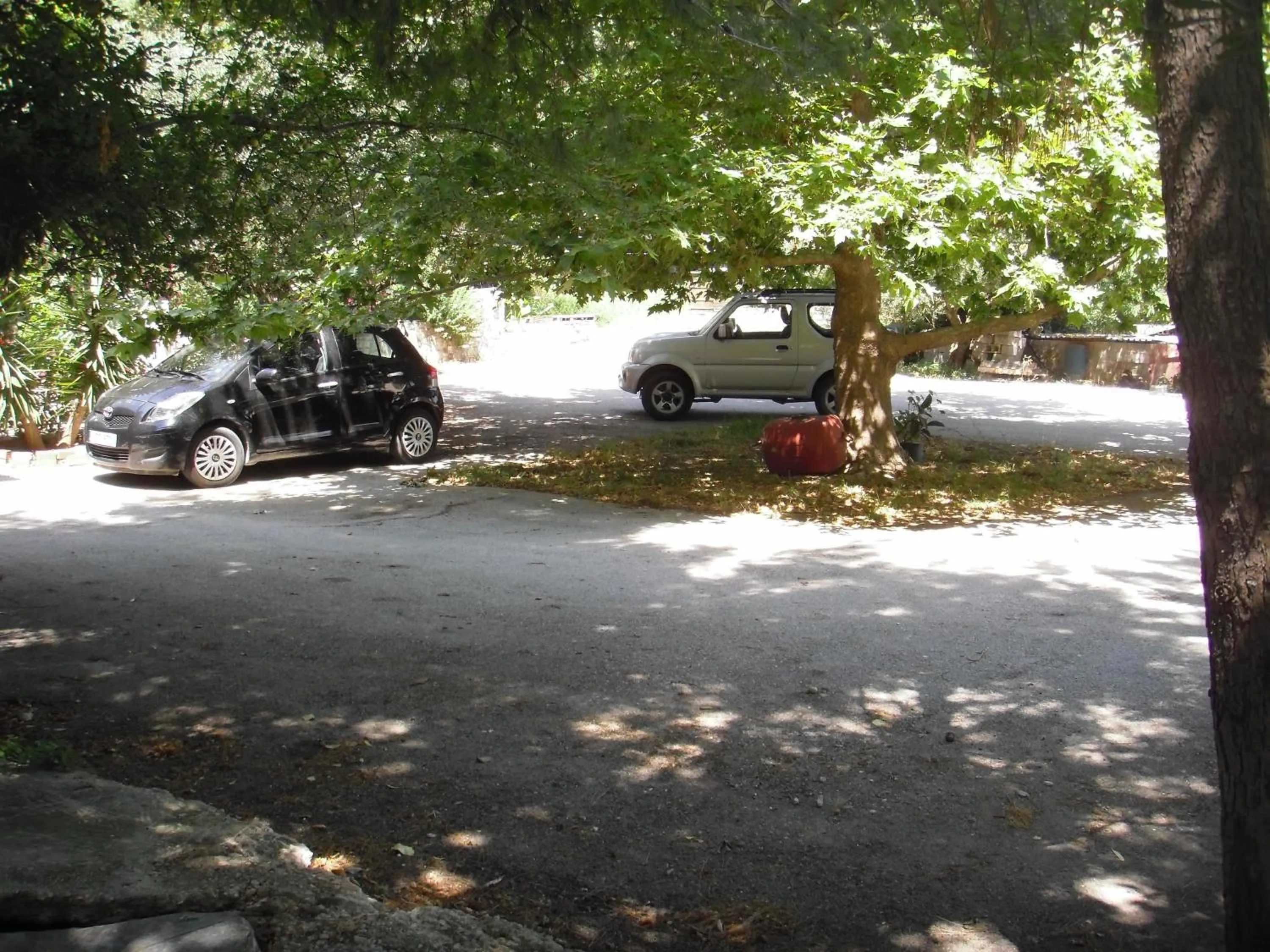 Garden in Belvedere Zakynthos Studios