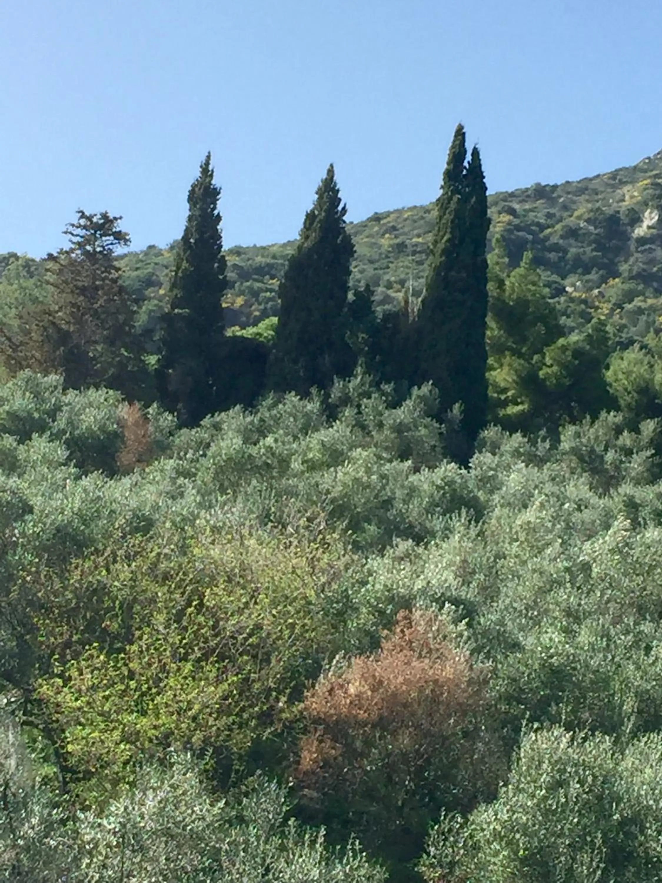 Mountain view in Belvedere Zakynthos Studios