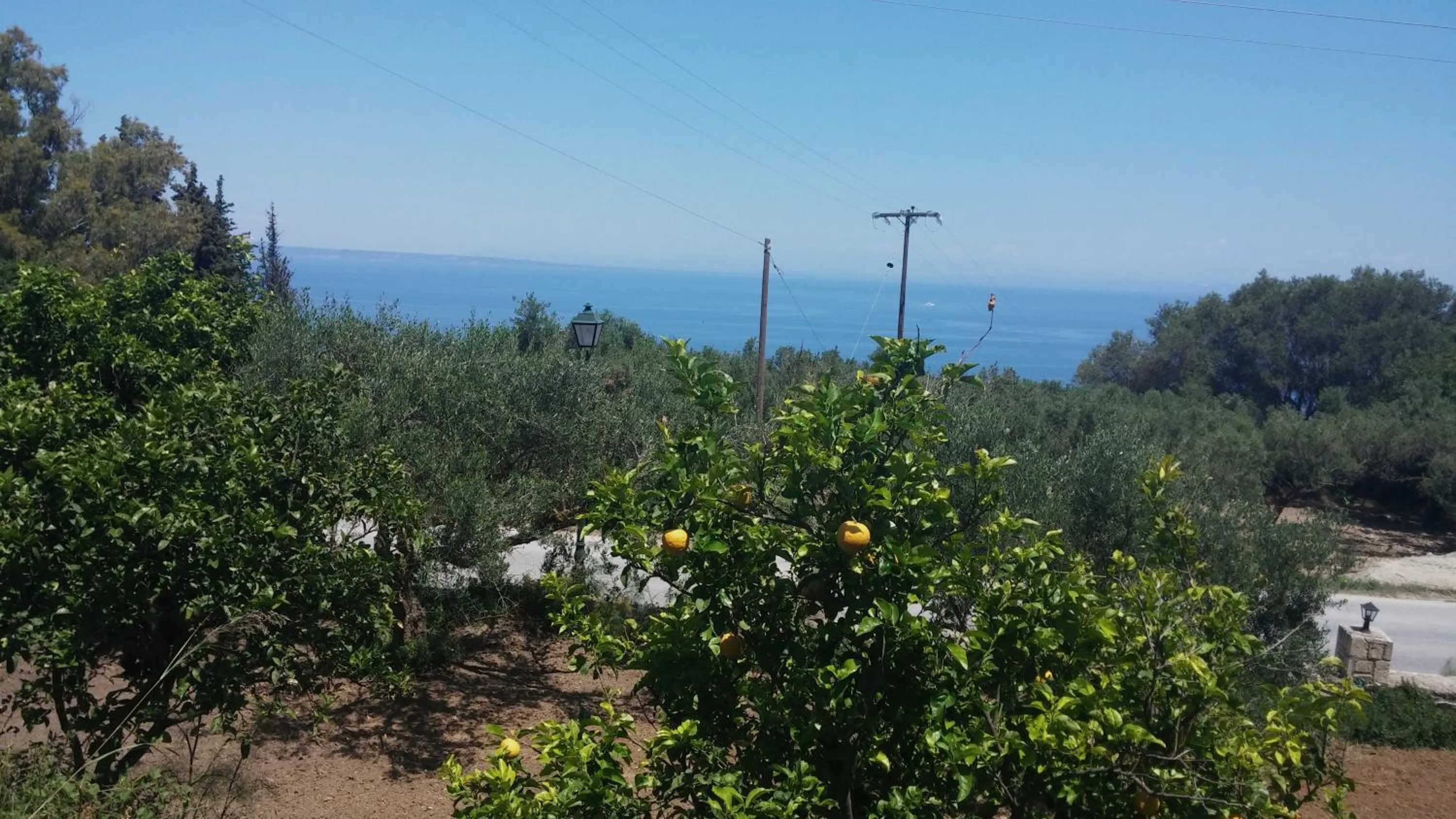 Natural landscape in Belvedere Zakynthos Studios