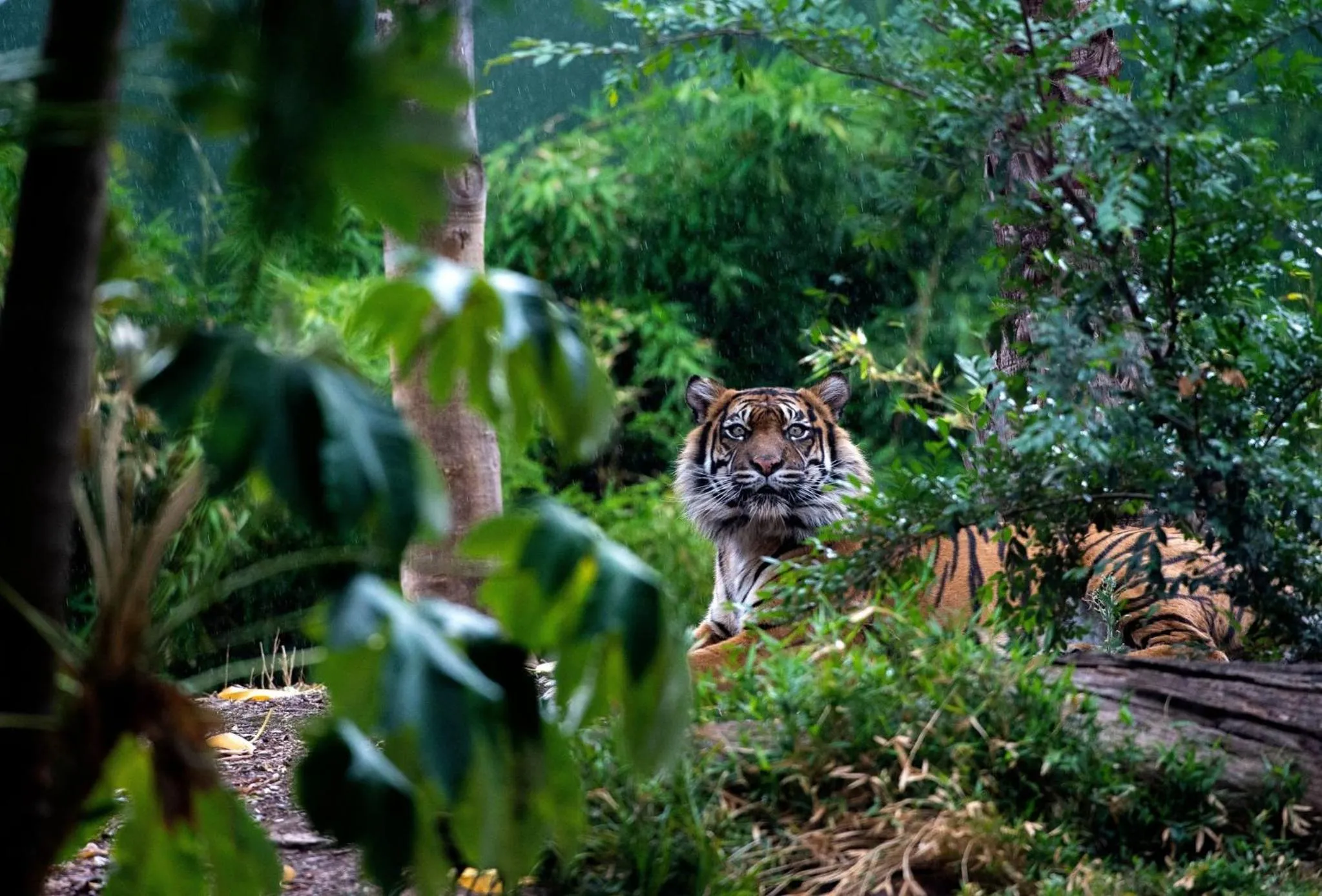 Nearby landmark in Crowne Plaza Adelaide by IHG