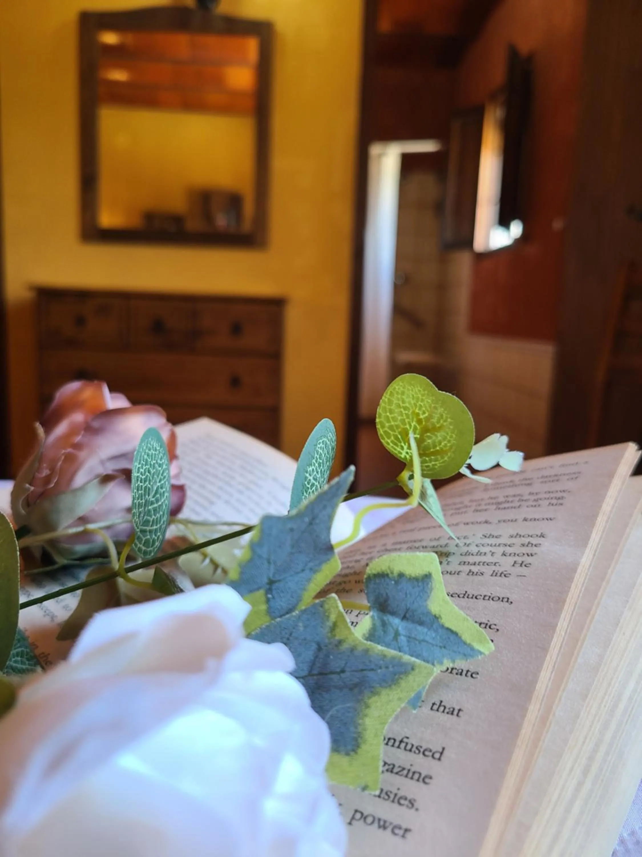 Cortijo Molino los Justos