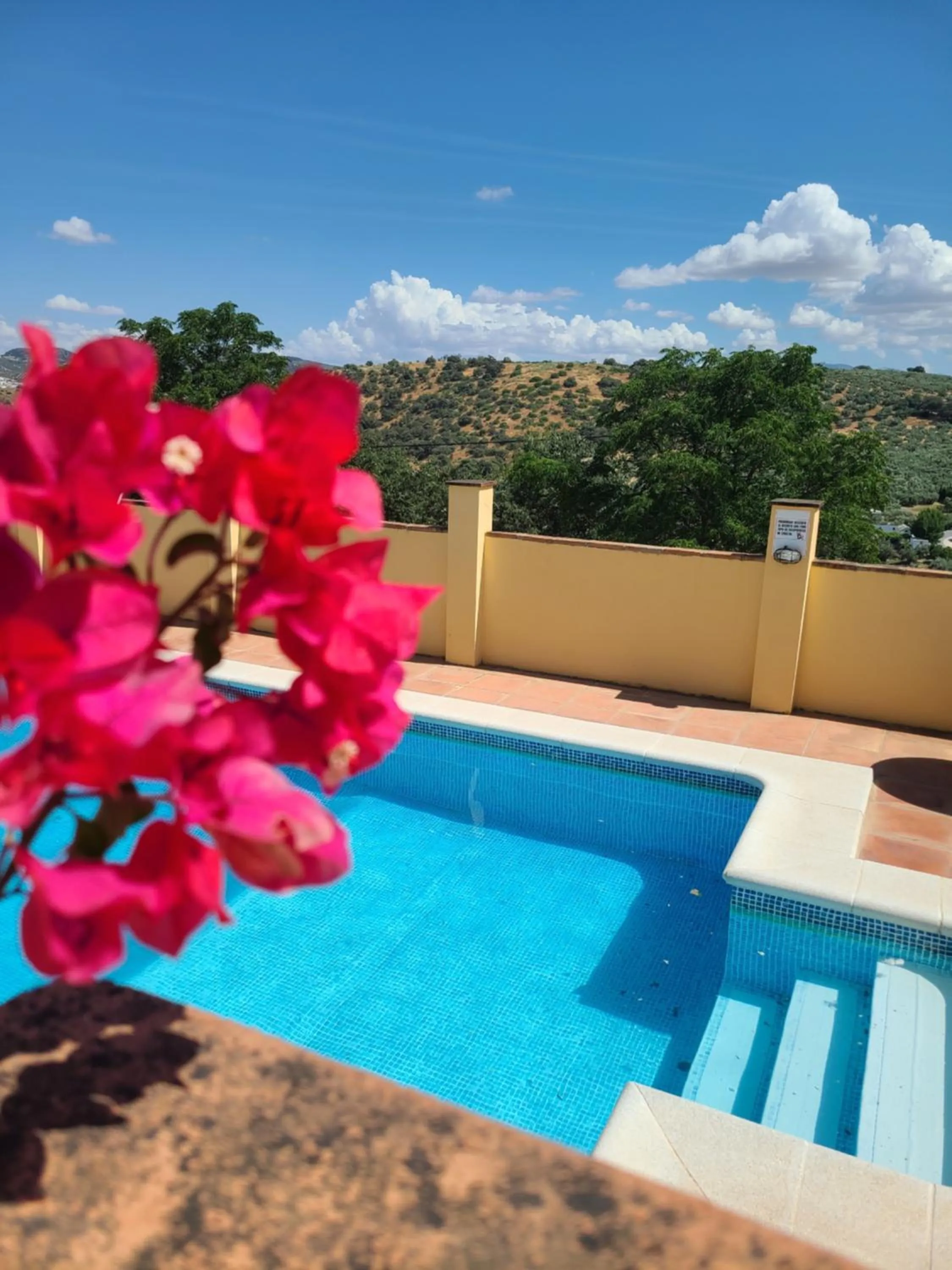 Swimming pool in Cortijo Molino los Justos