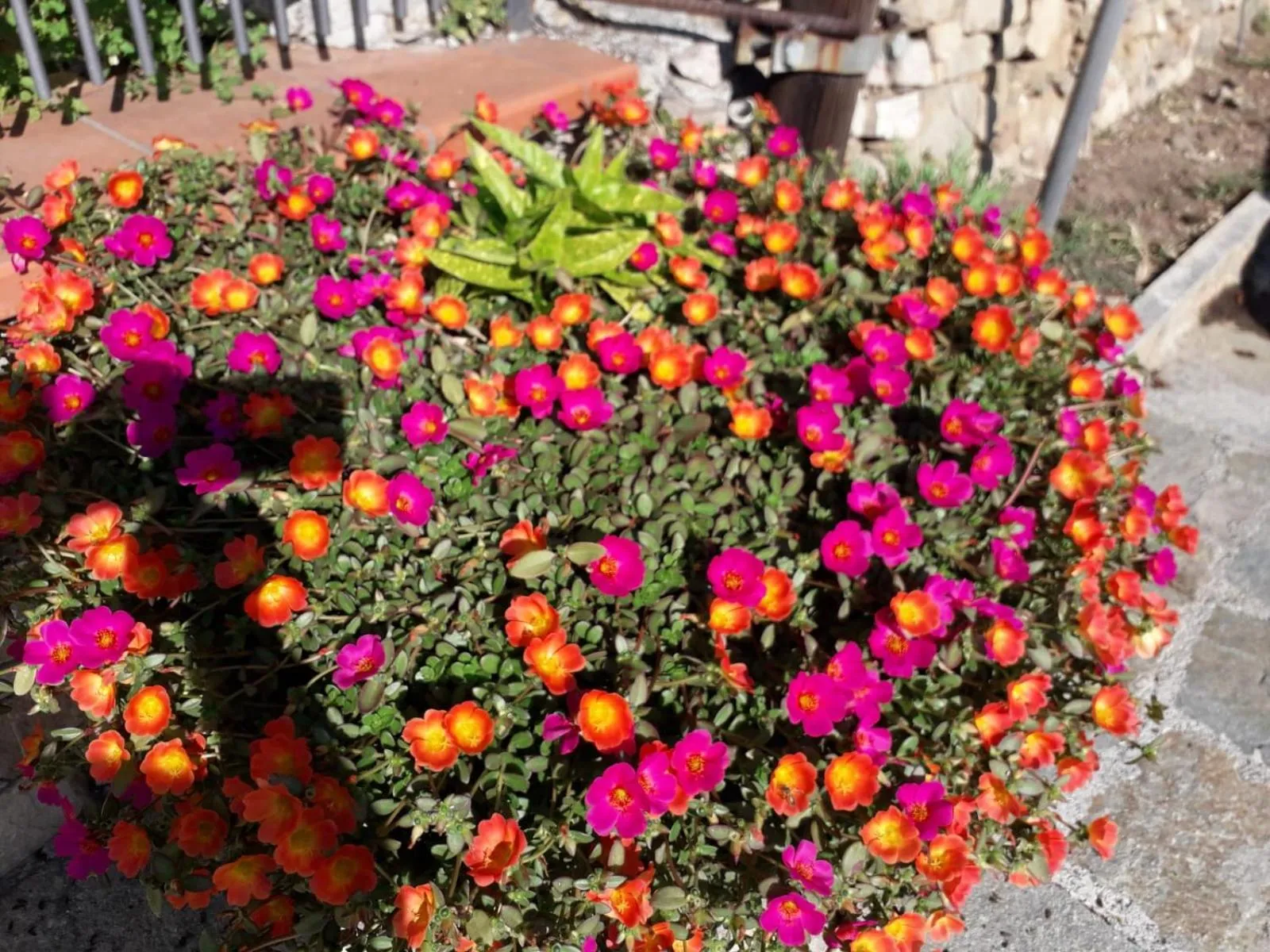 Property building in B&B nido sul mare