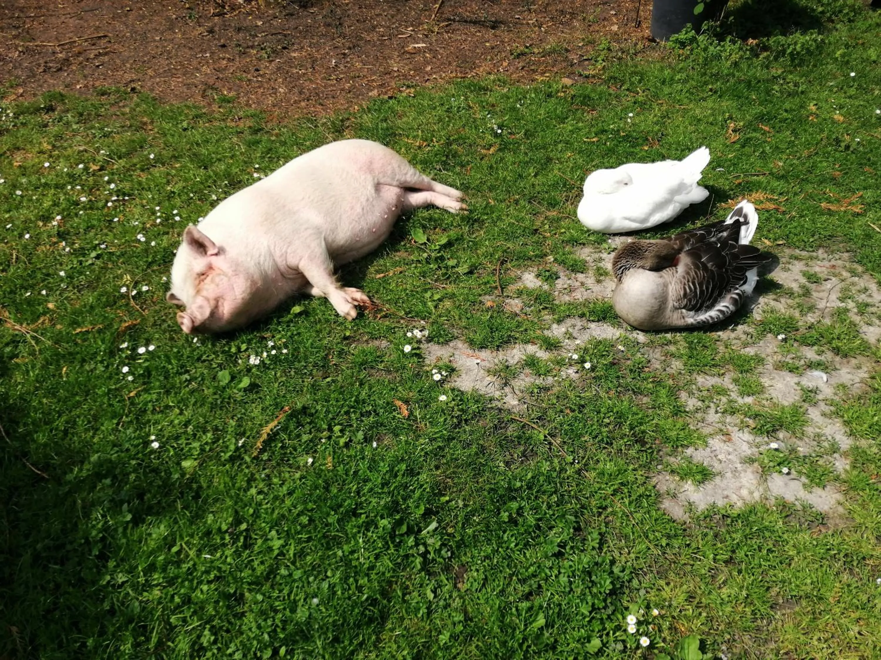 Chambres d'Hôtes La Turone