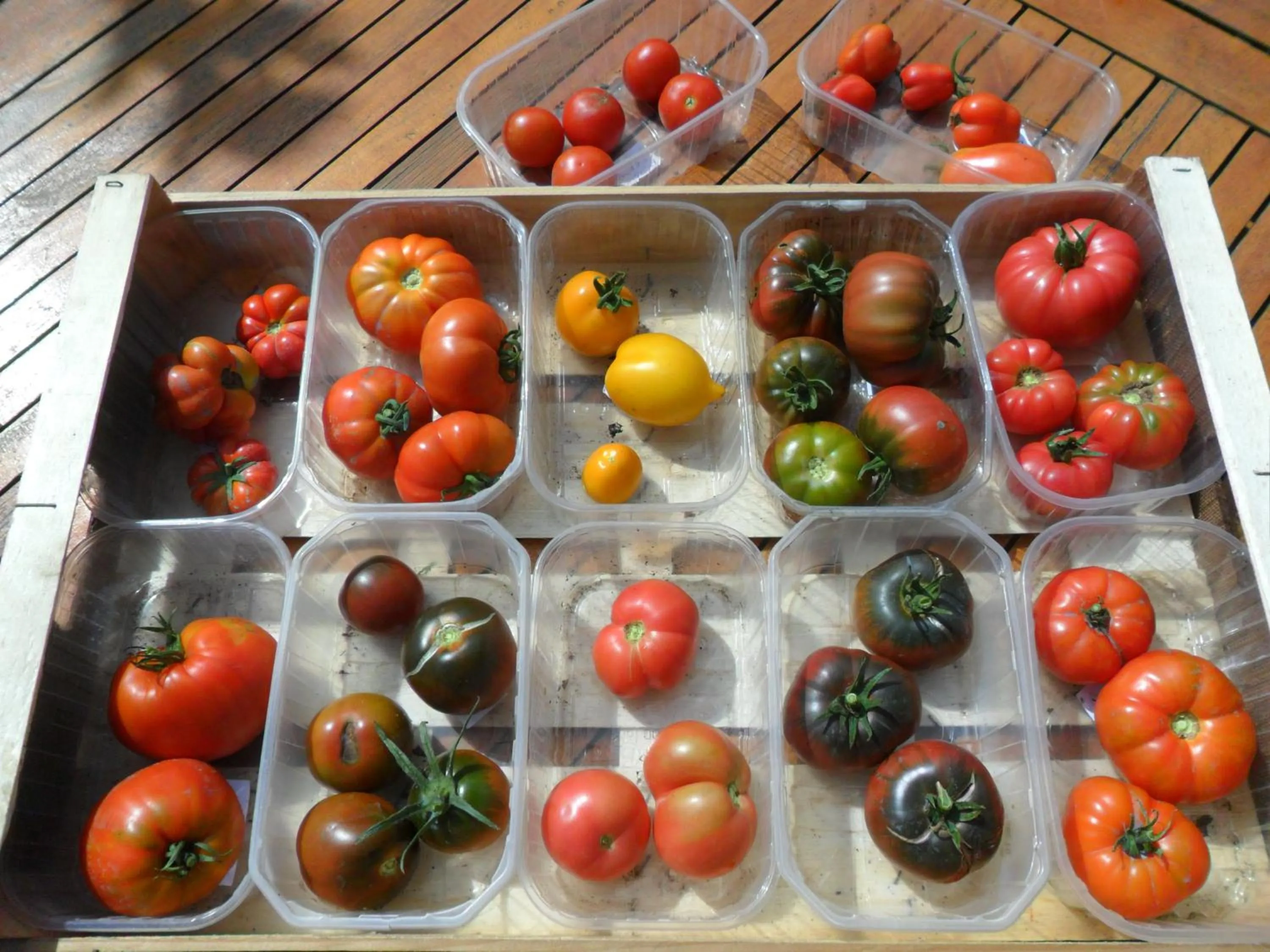 Summer in Chambres d'Hôtes La Turone