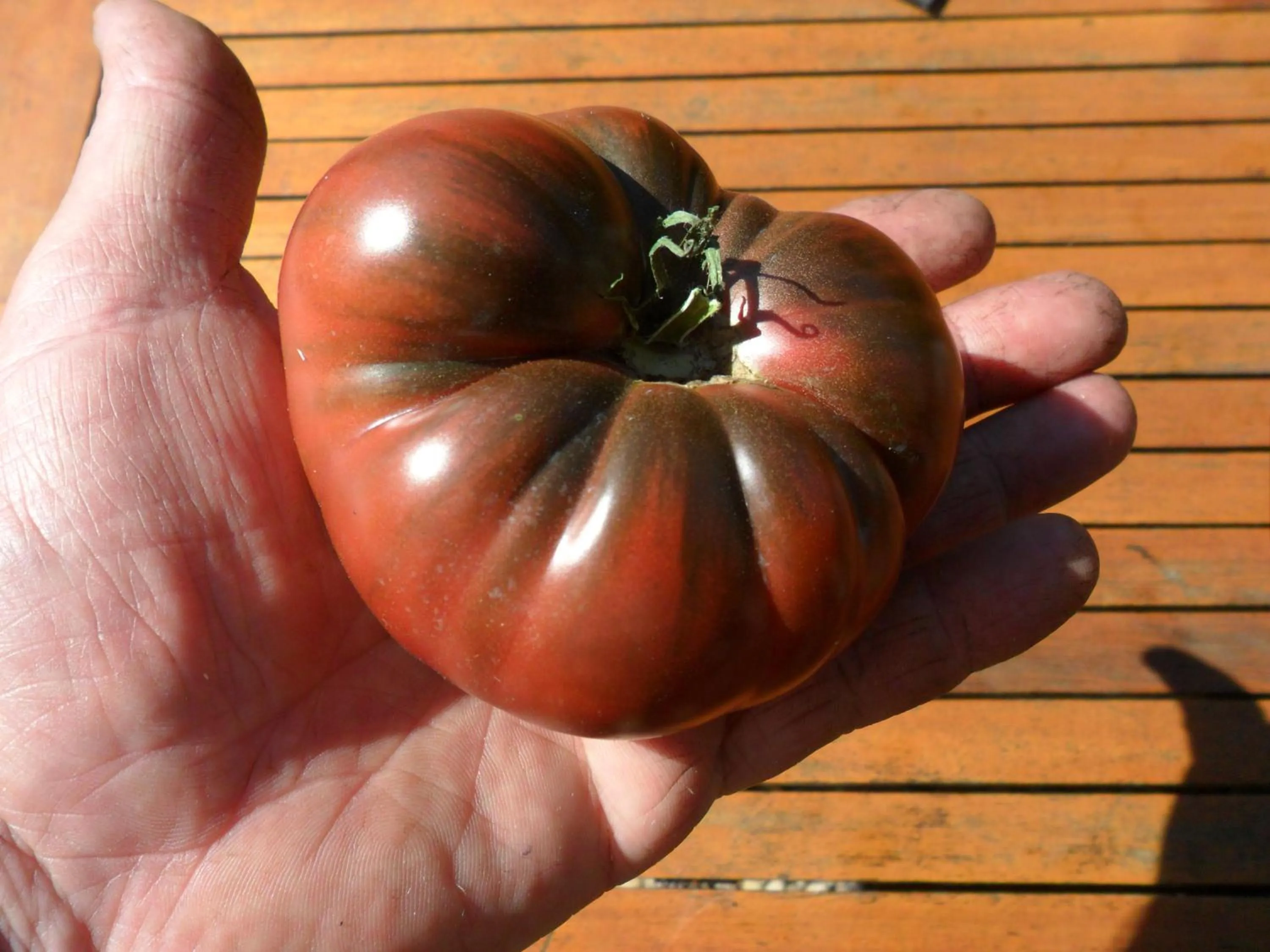 Garden in Chambres d'Hôtes La Turone