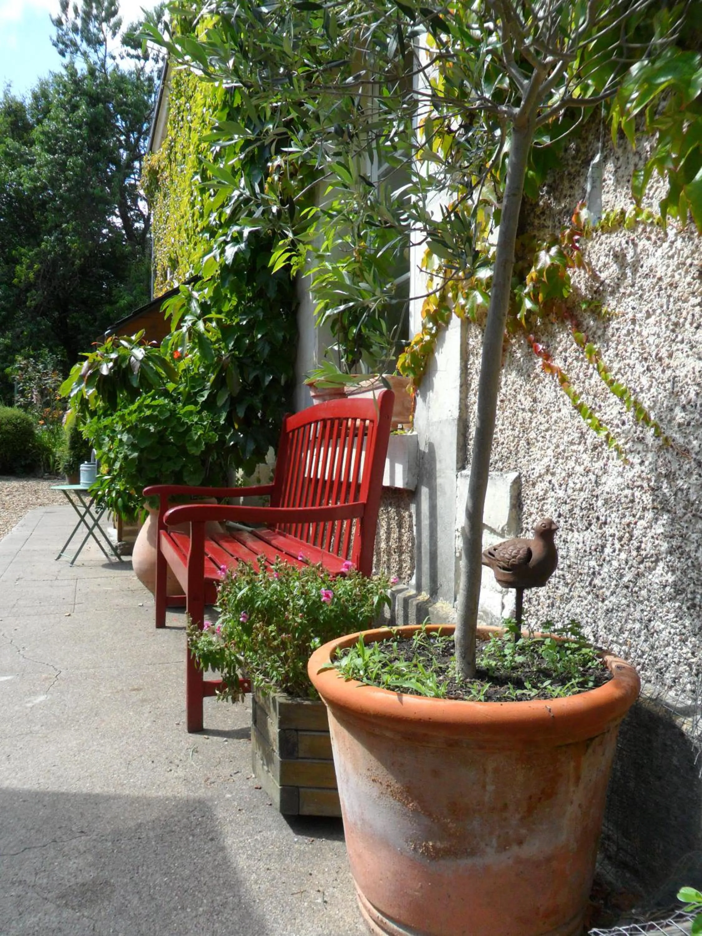 Patio in Chambres d'Hôtes La Turone
