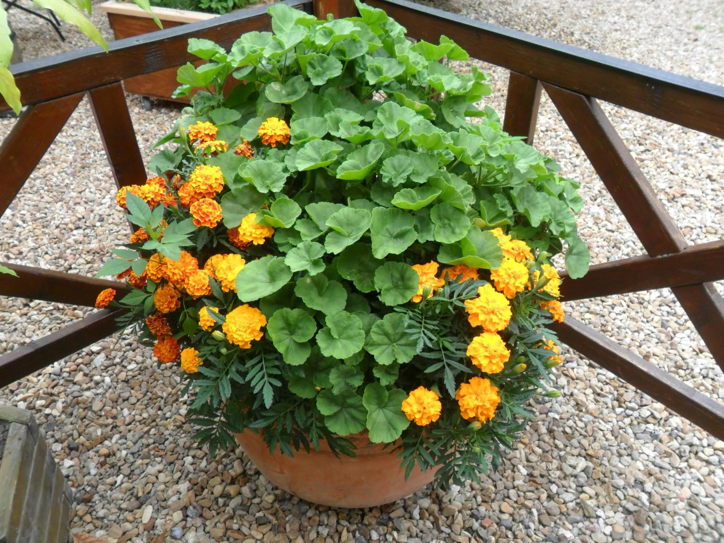 Balcony/Terrace in Chambres d'Hôtes La Turone