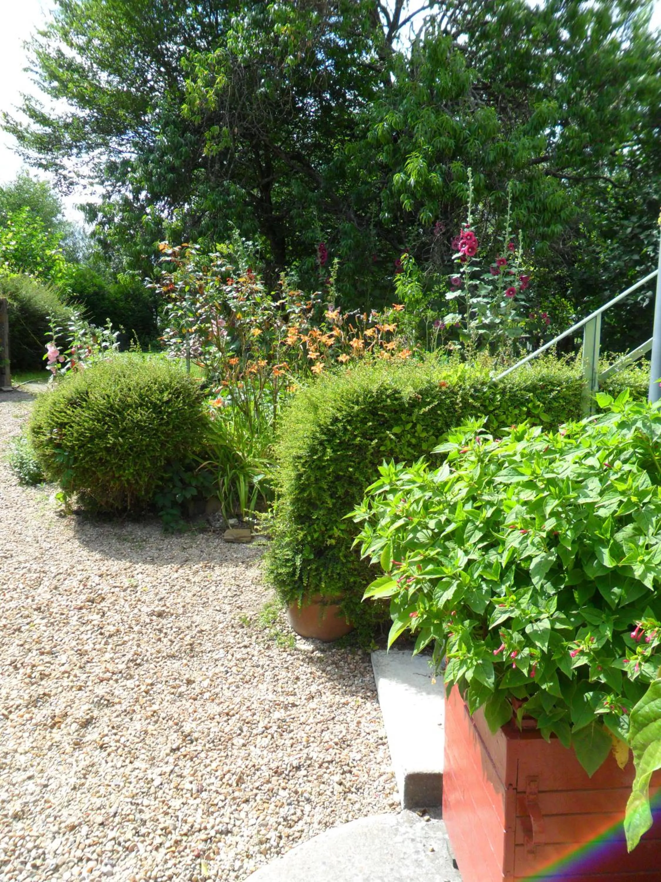 Garden in Chambres d'Hôtes La Turone