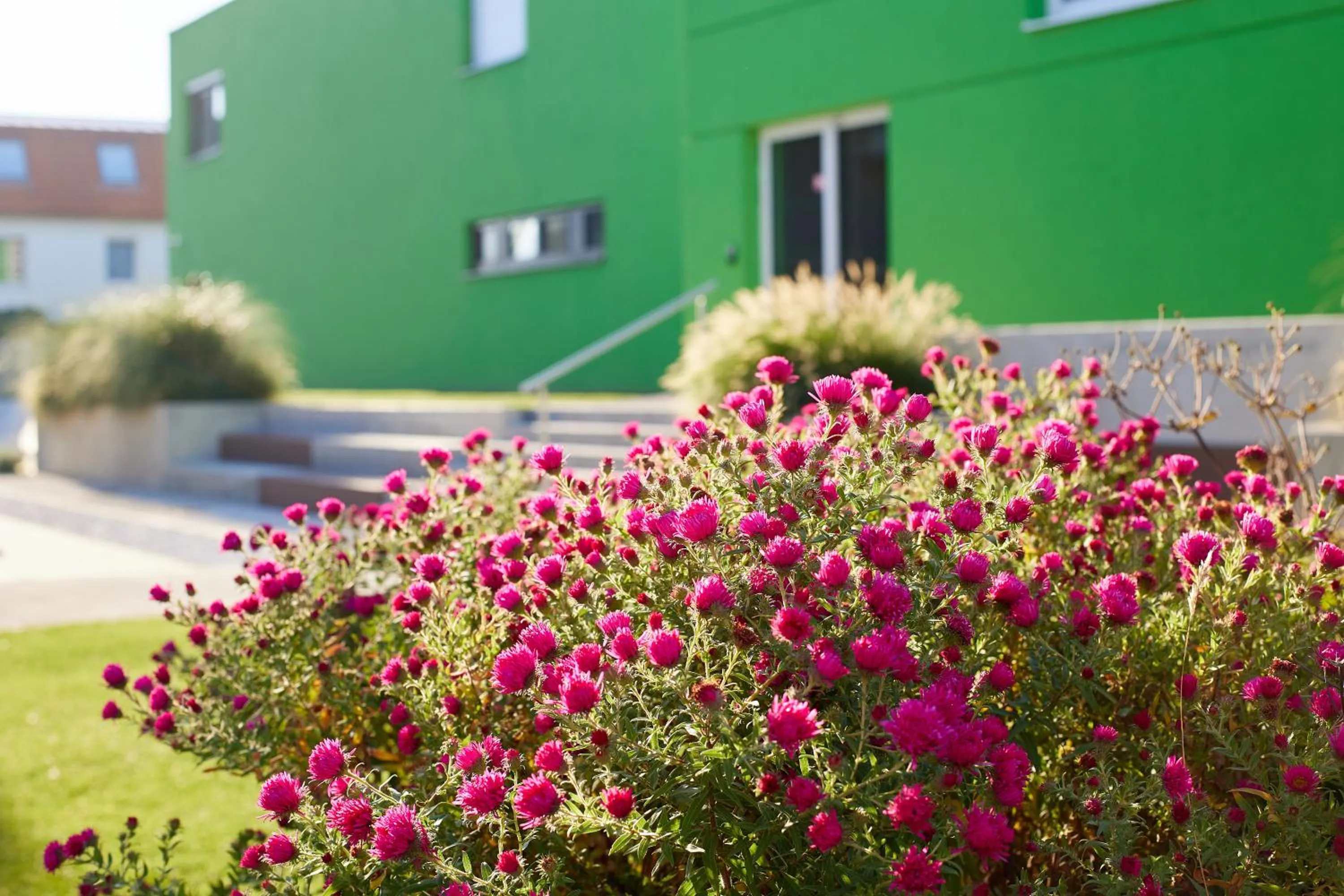Garden view in Good Rooms GmbH Guntramsdorf