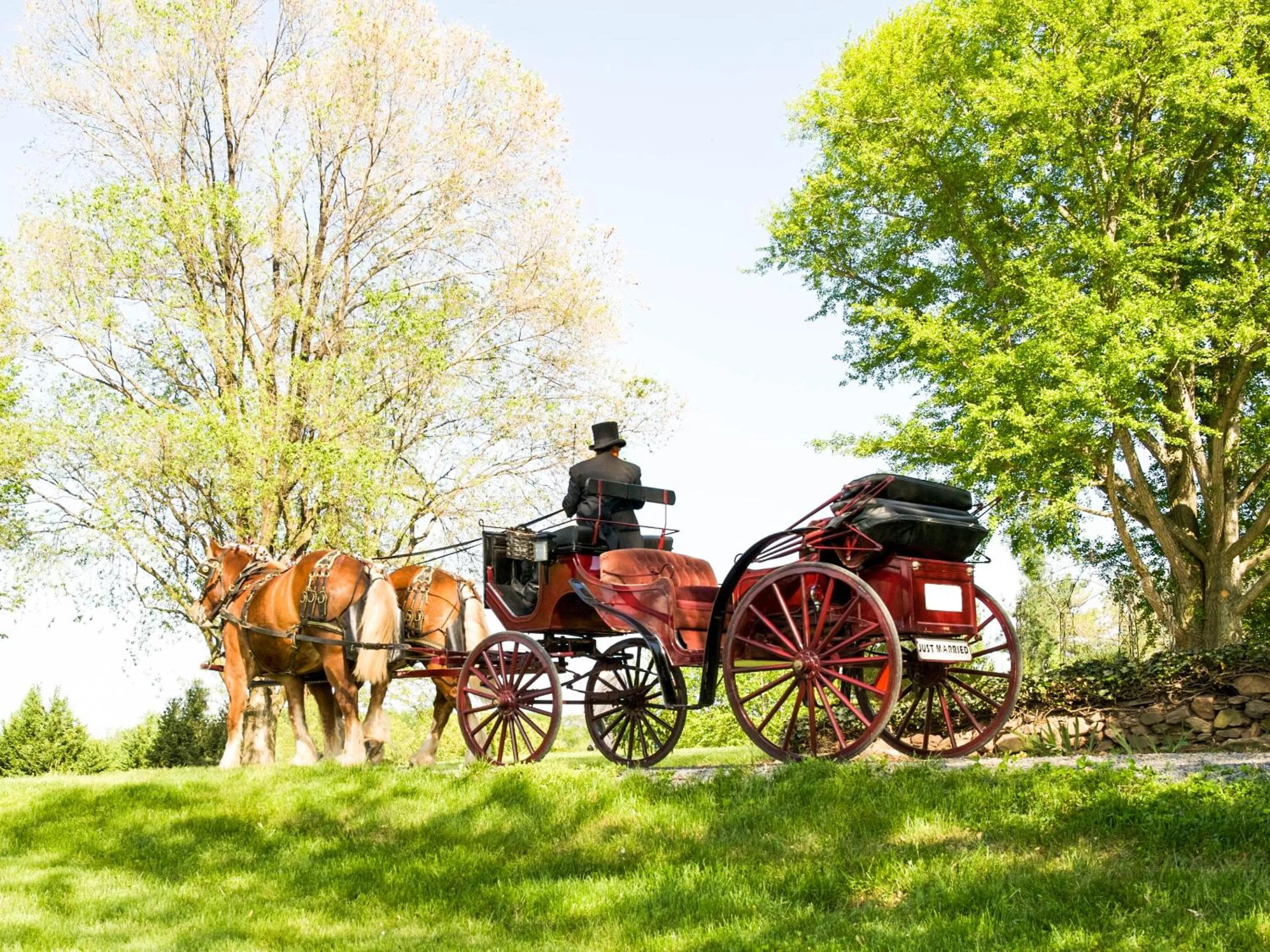 People in Stara Szkoła Boutique Hotel