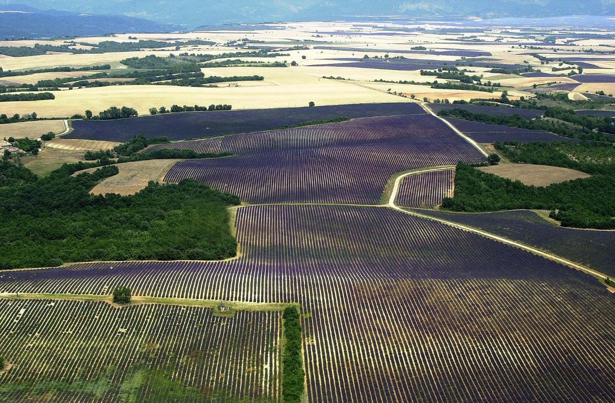 Area and facilities in Hôtel Spa Les Alpes