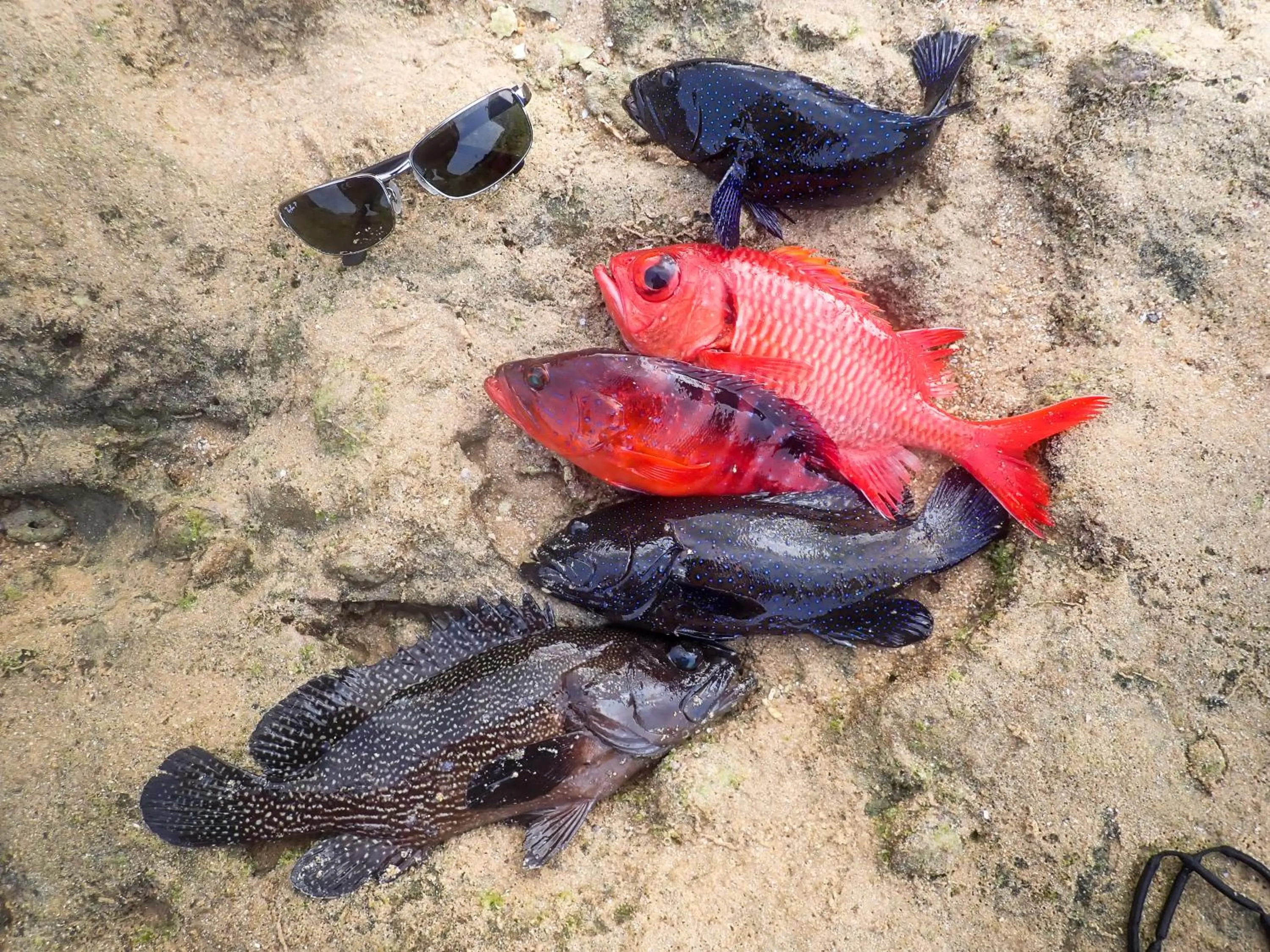 Activities in Blue Ocean Resort