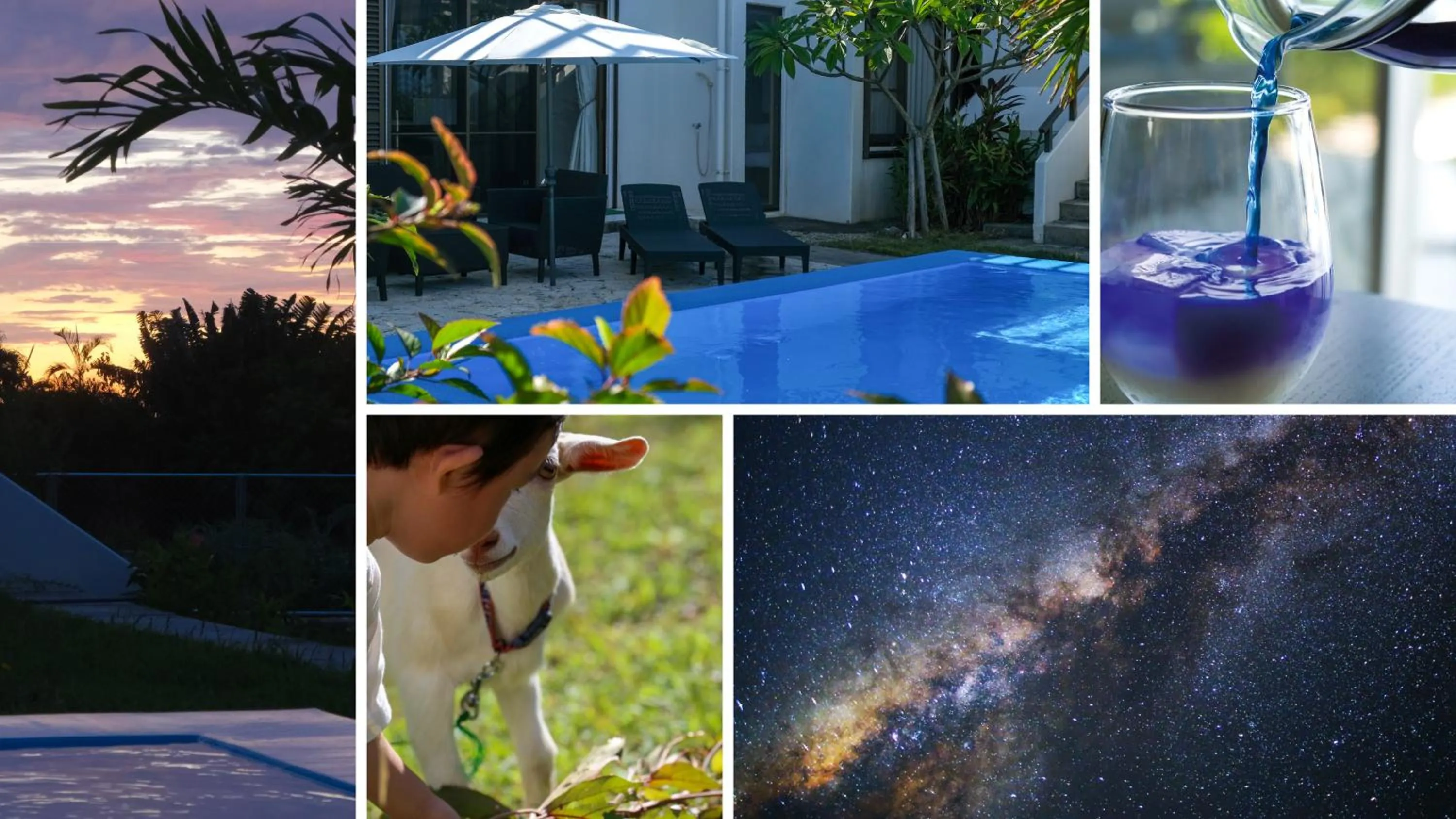 Garden in Blue Ocean Resort