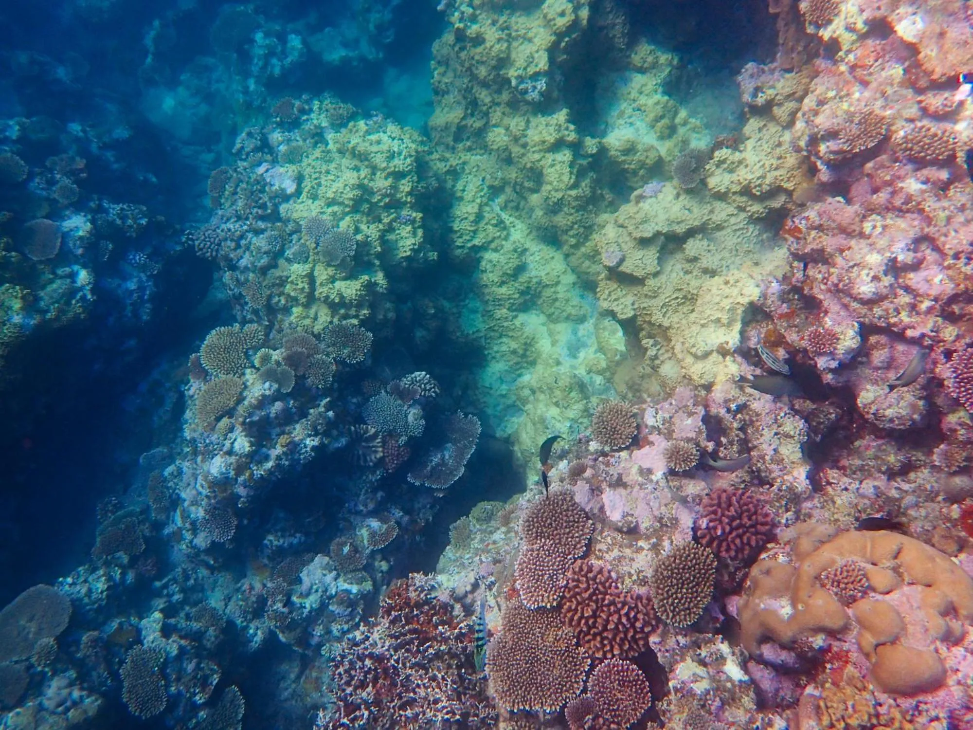 Activities in Blue Ocean Resort