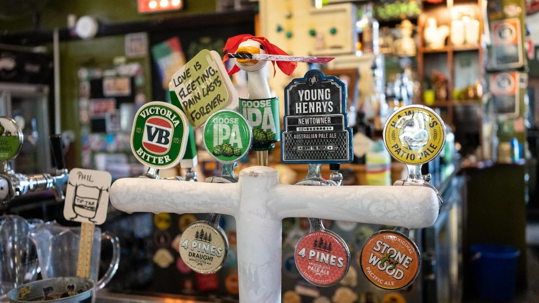 Restaurant/places to eat in The Erko Hotel