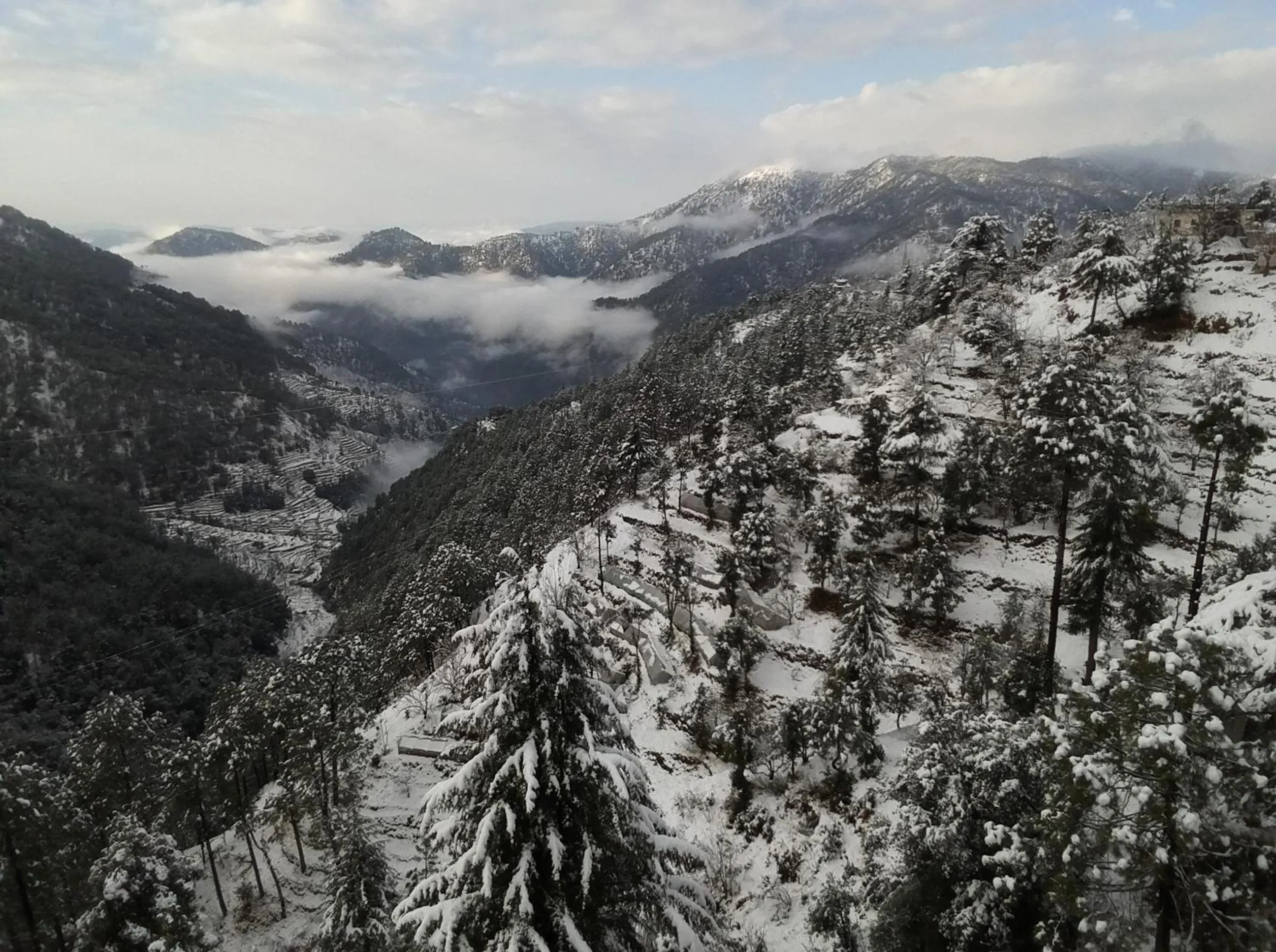 Natural landscape in Clarks Exotica Resort Ramgarh Mukteshwar
