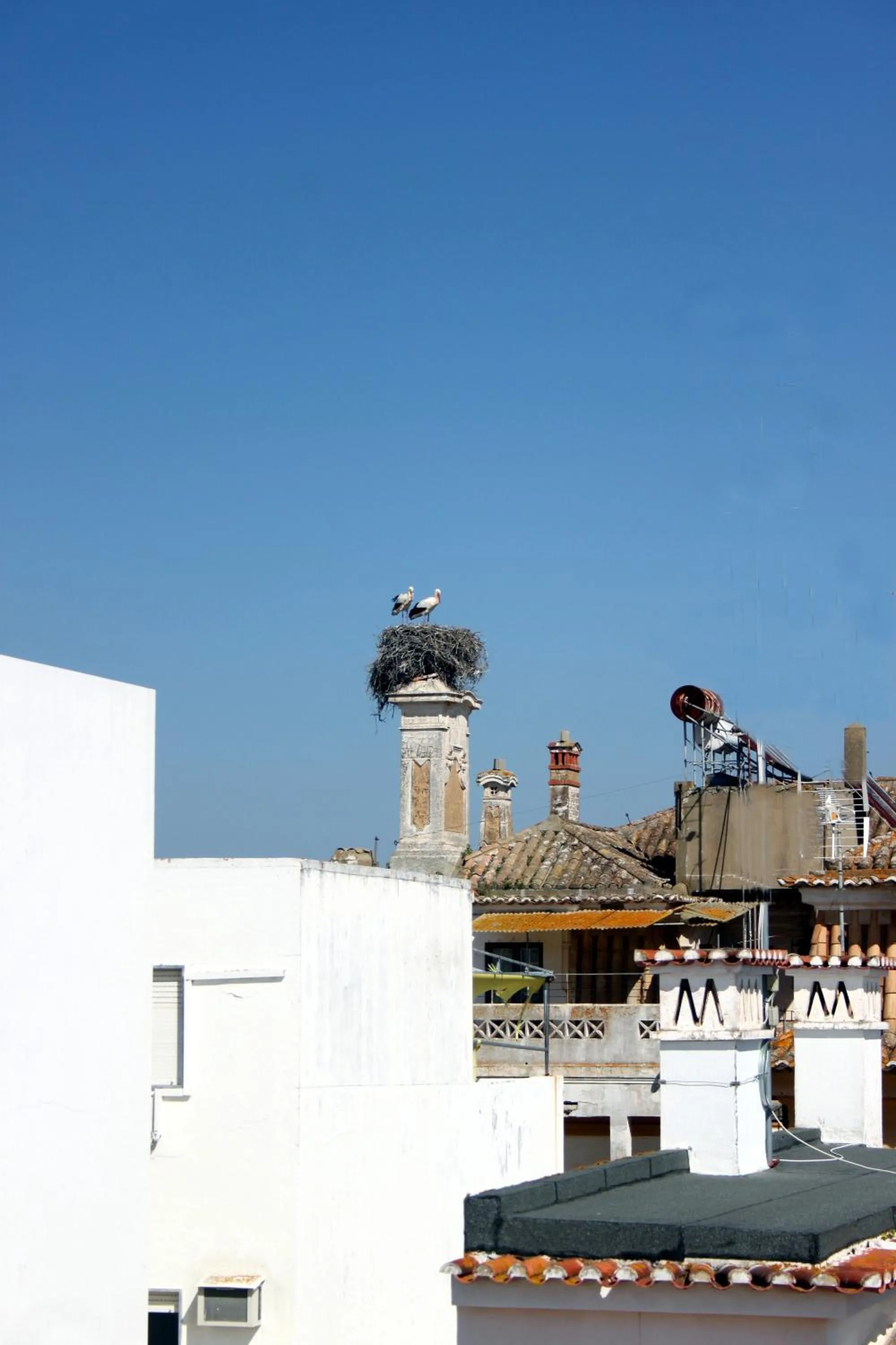 View (from property/room) in Villa Marquez