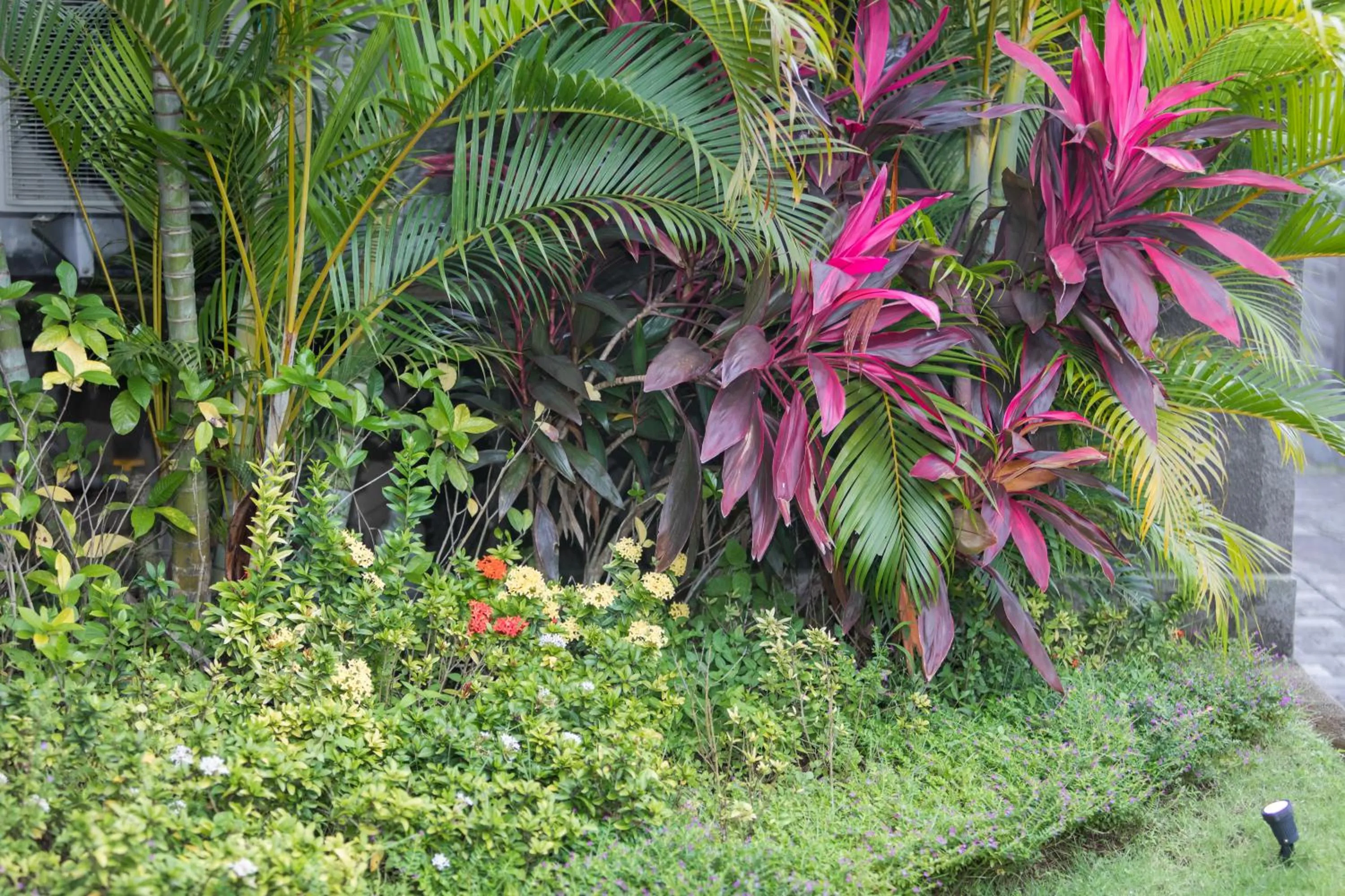 Garden in Villa Daun Canggu by Premier Hospitality Asia