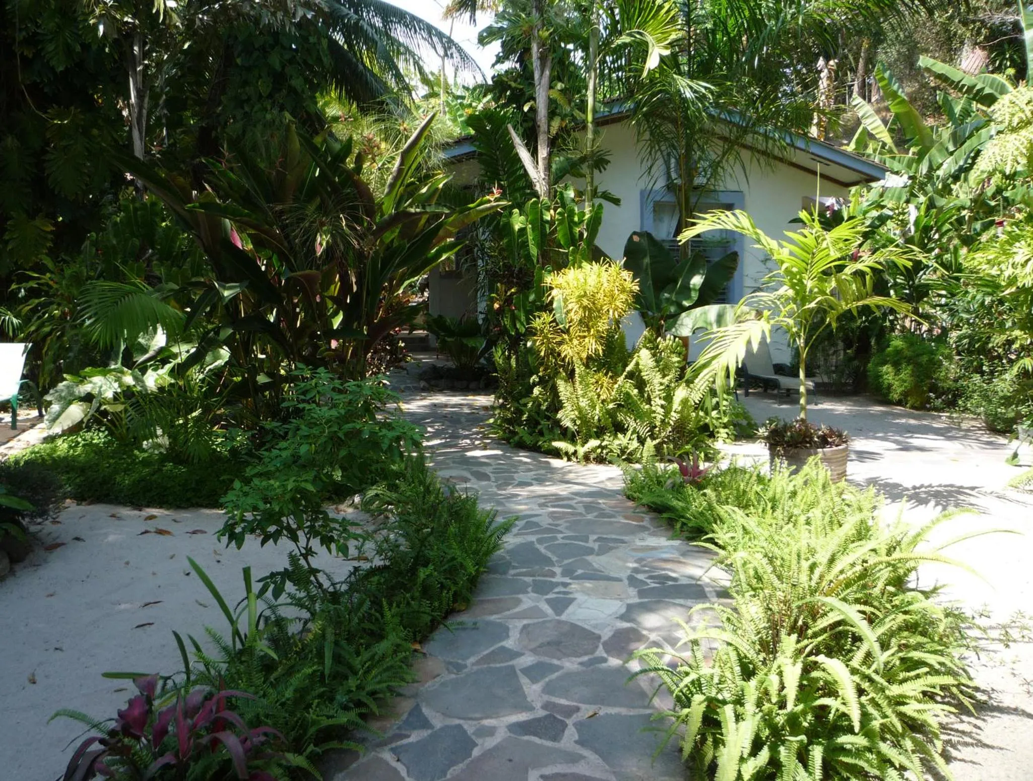 Garden view in Togo B&B Farallon