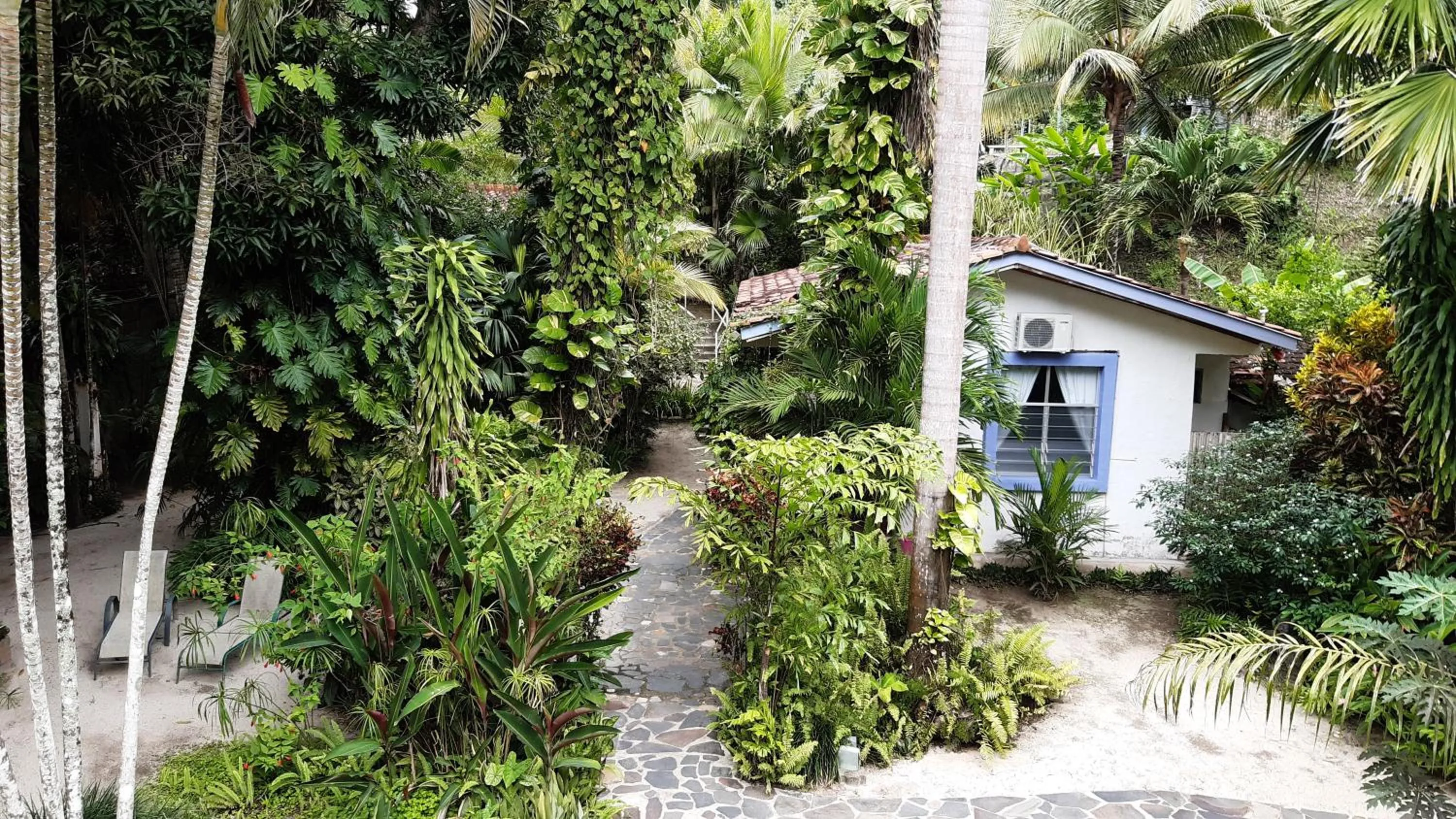 Garden view in Togo B&B Farallon