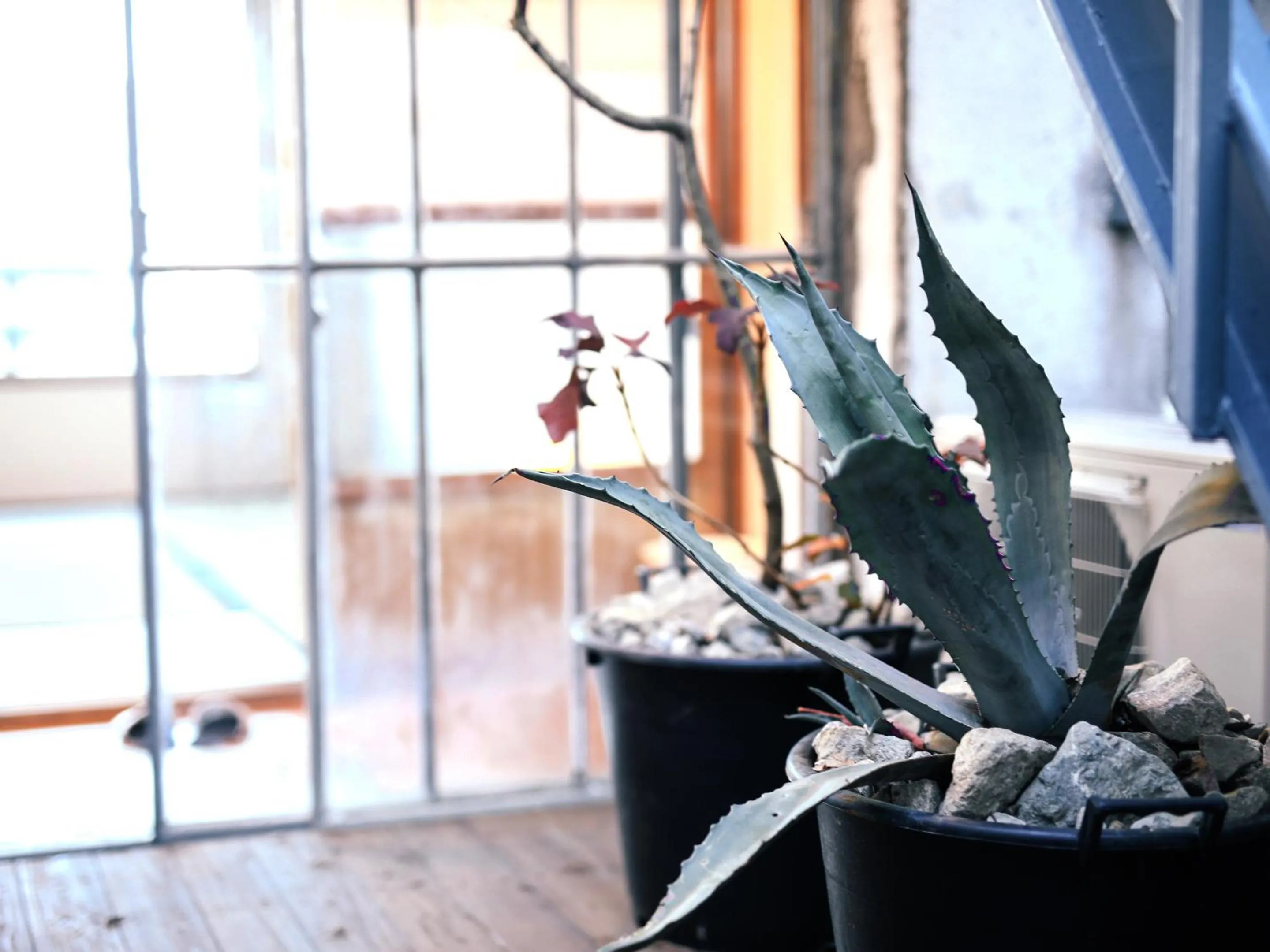 Balcony/Terrace in chAho Hostel Nirasaki / Outdoor Base