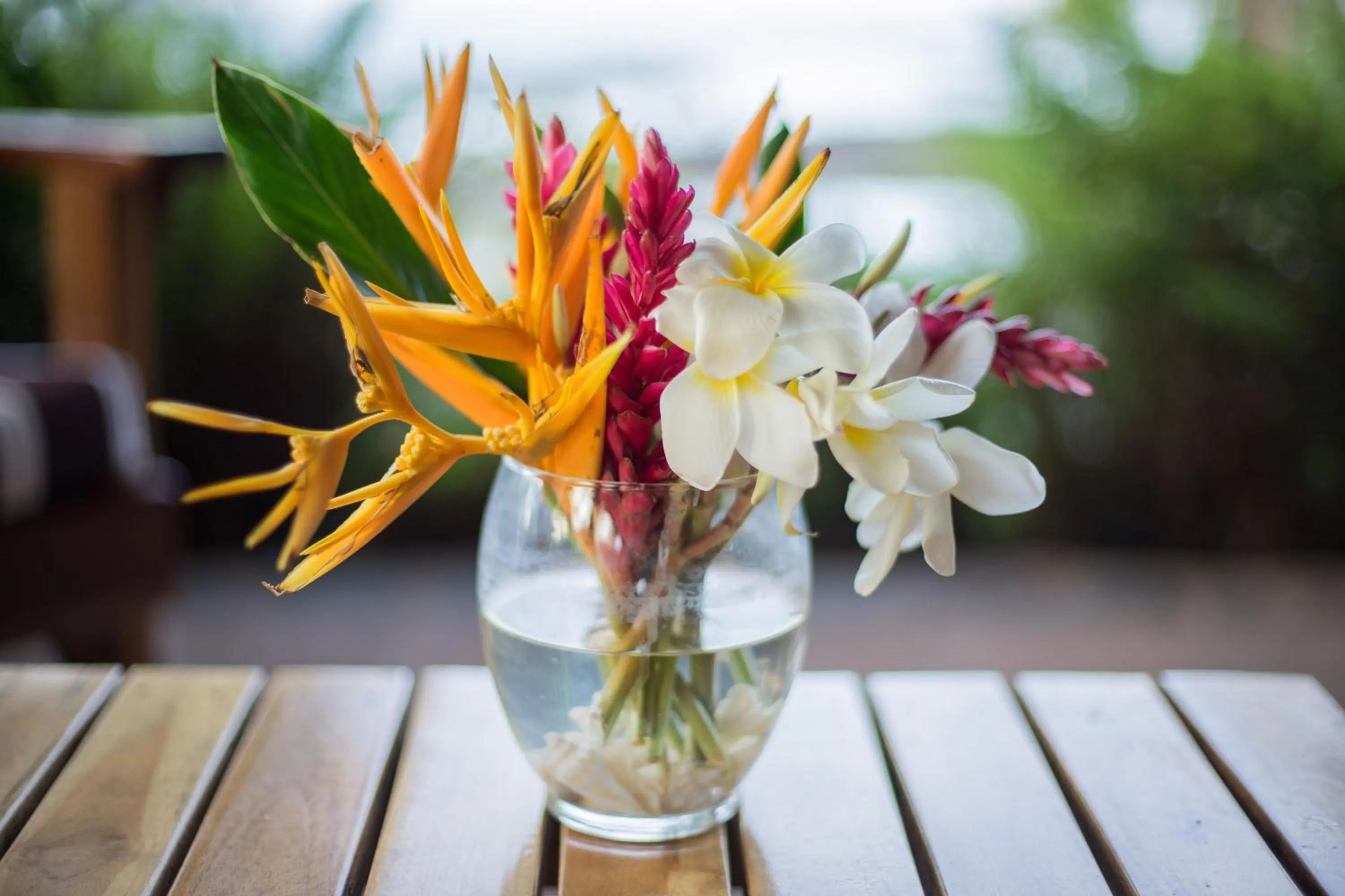 Swimming pool in Hotel Santa Catalina Panamá