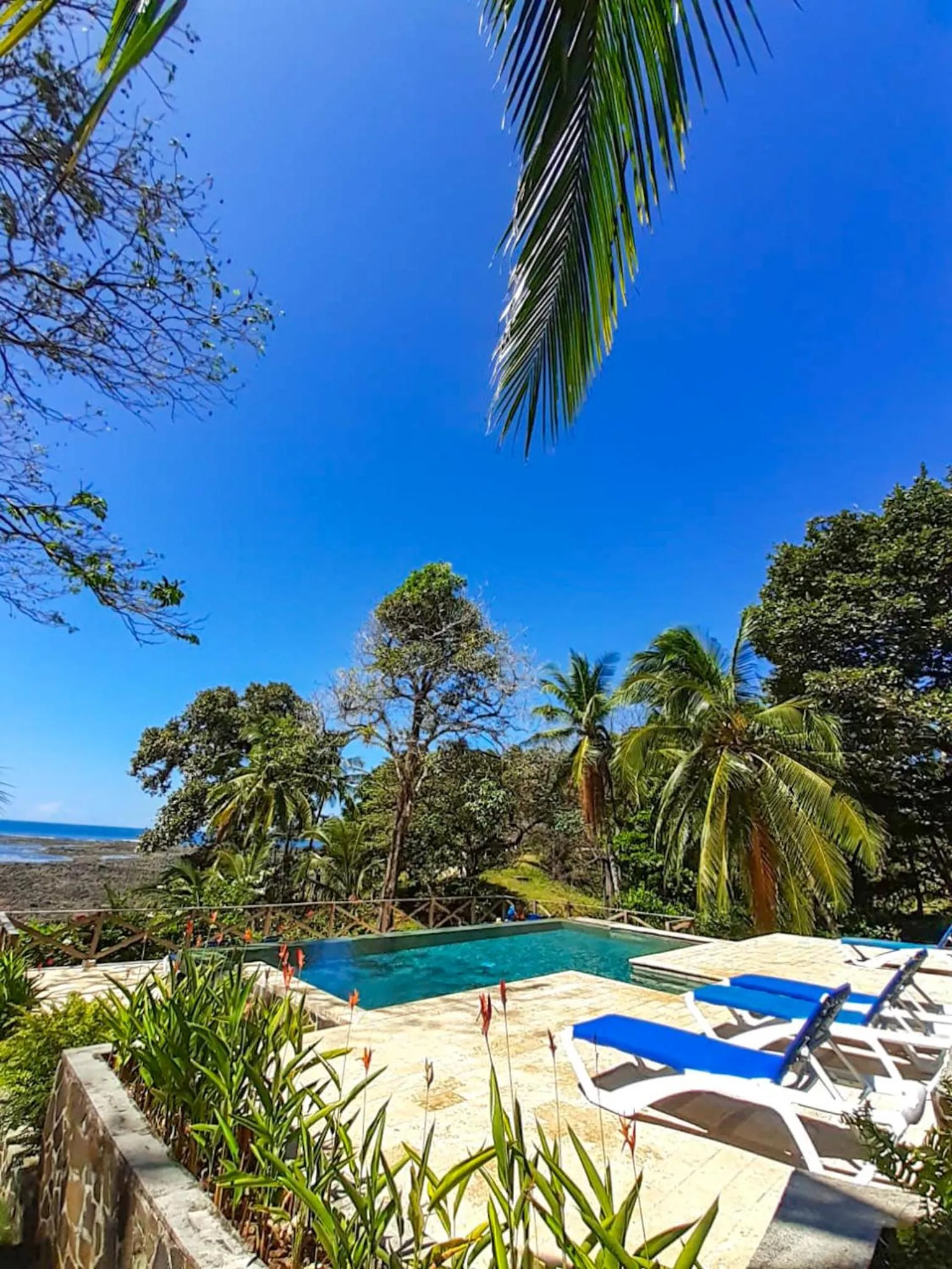 Pool view in Hotel Santa Catalina Panamá