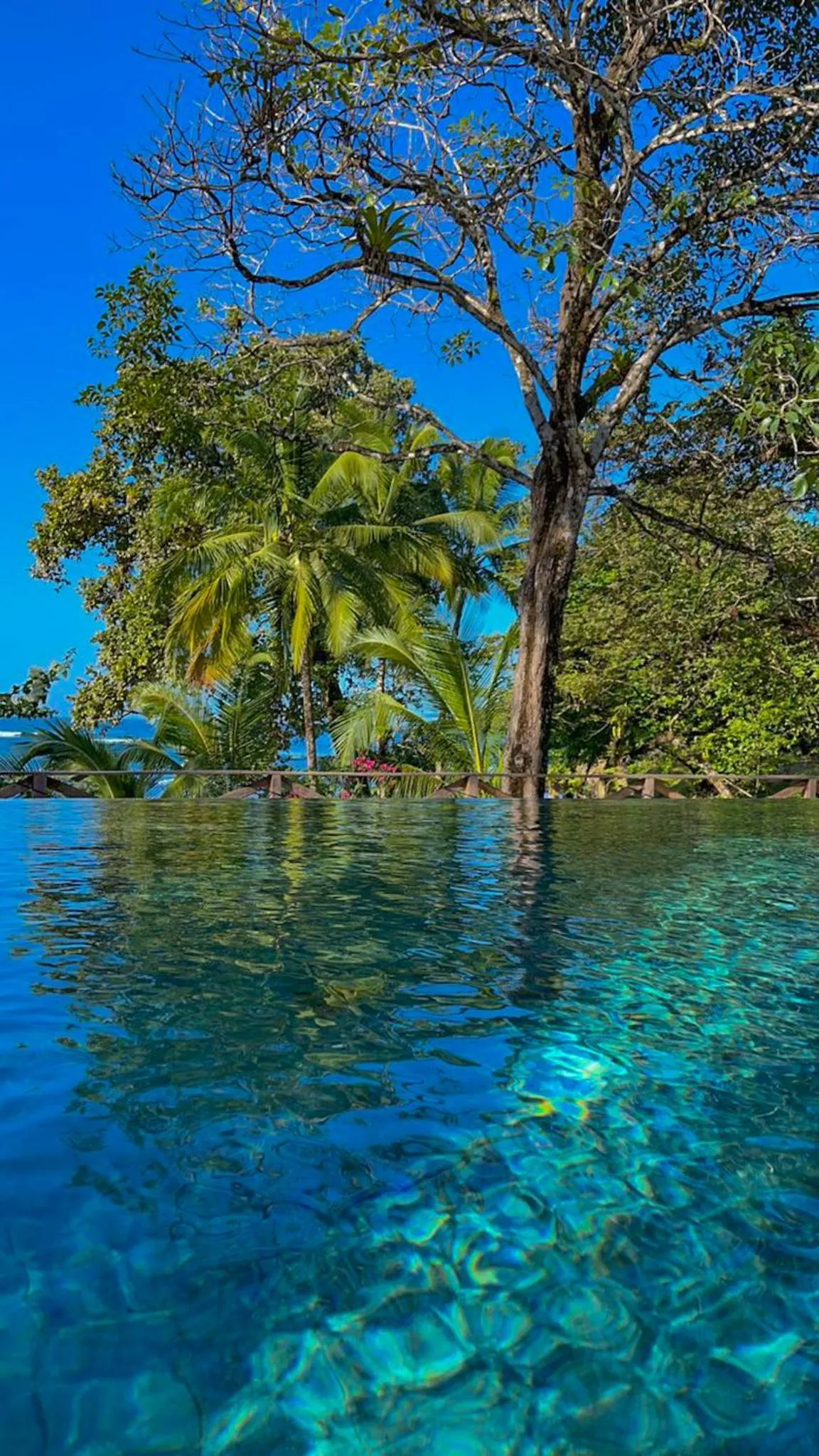 Natural landscape in Hotel Santa Catalina Panamá