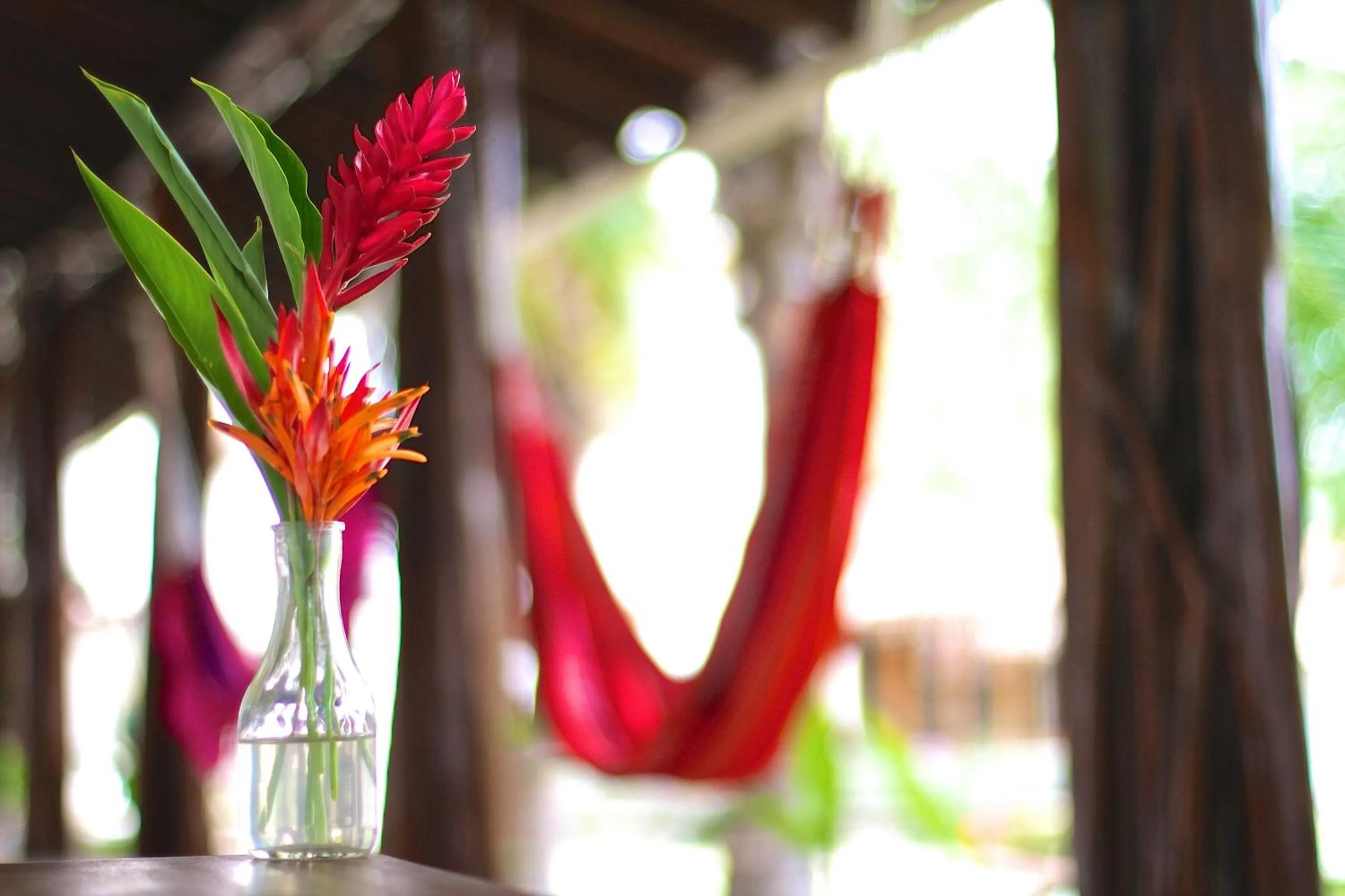 Decorative detail in Hotel Santa Catalina Panamá