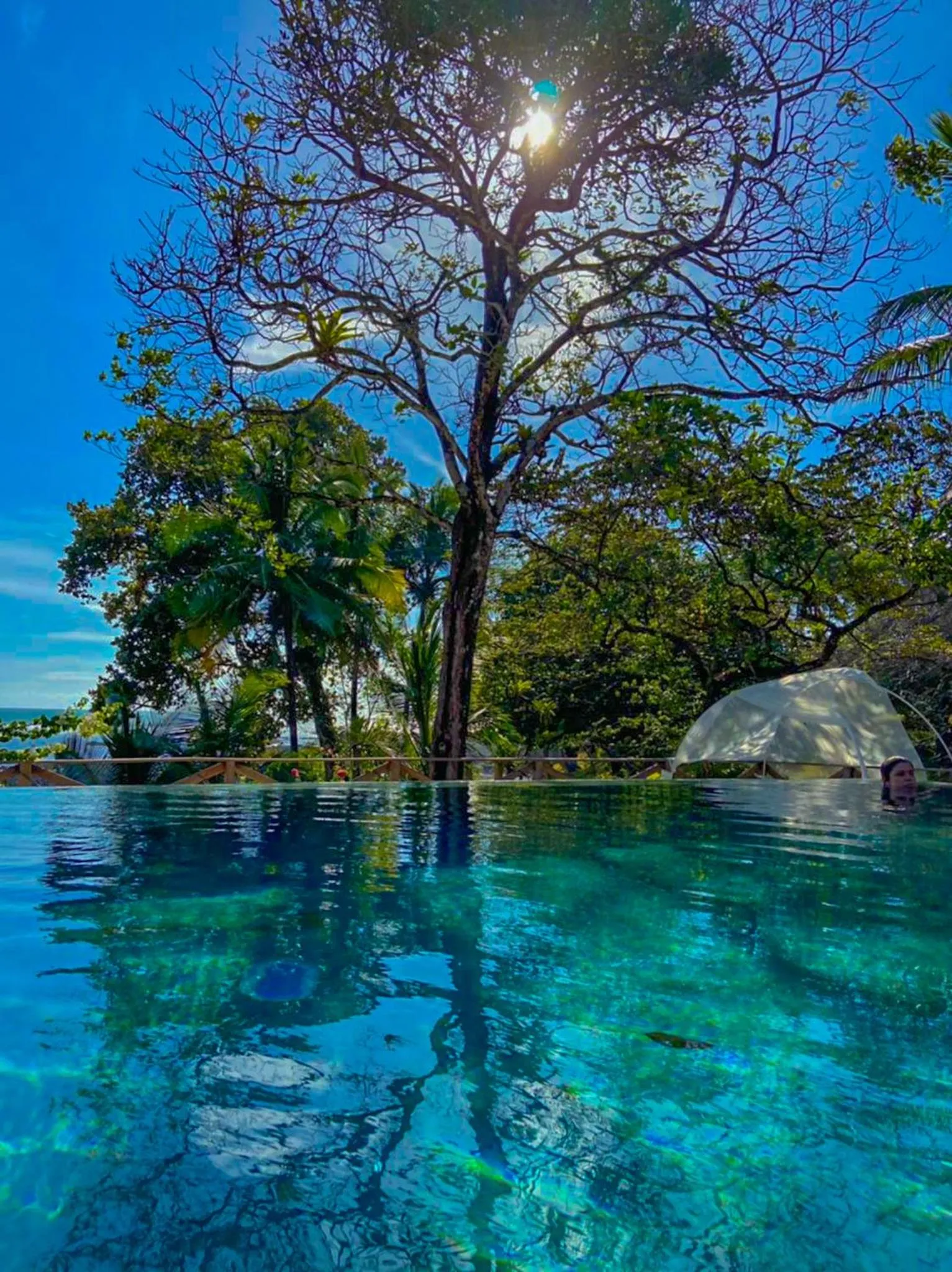 Natural landscape in Hotel Santa Catalina Panamá