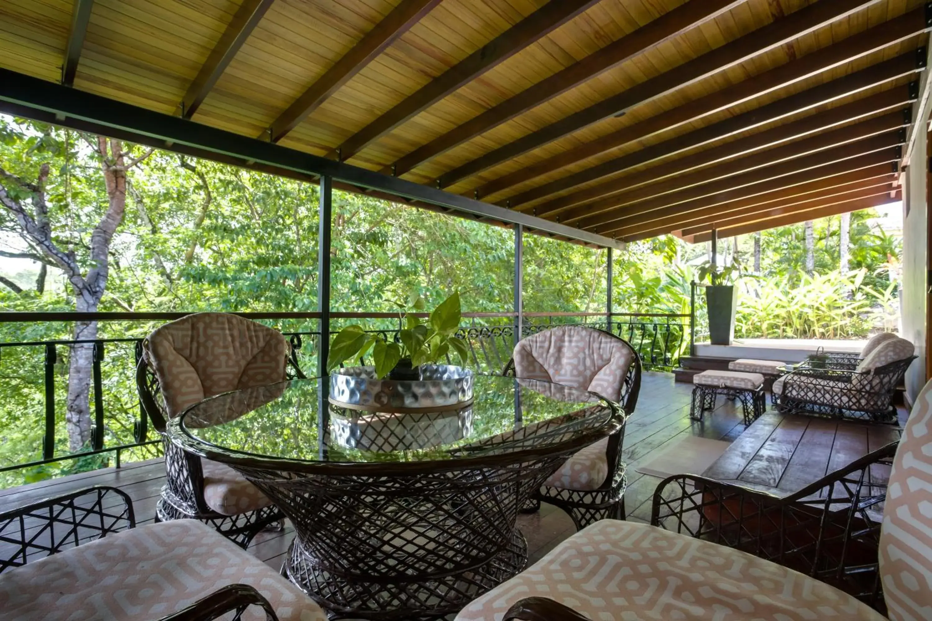 Jungle View Suite in San Ignacio Resort Hotel Jungle View Suite in San Ignacio Resort Hotel