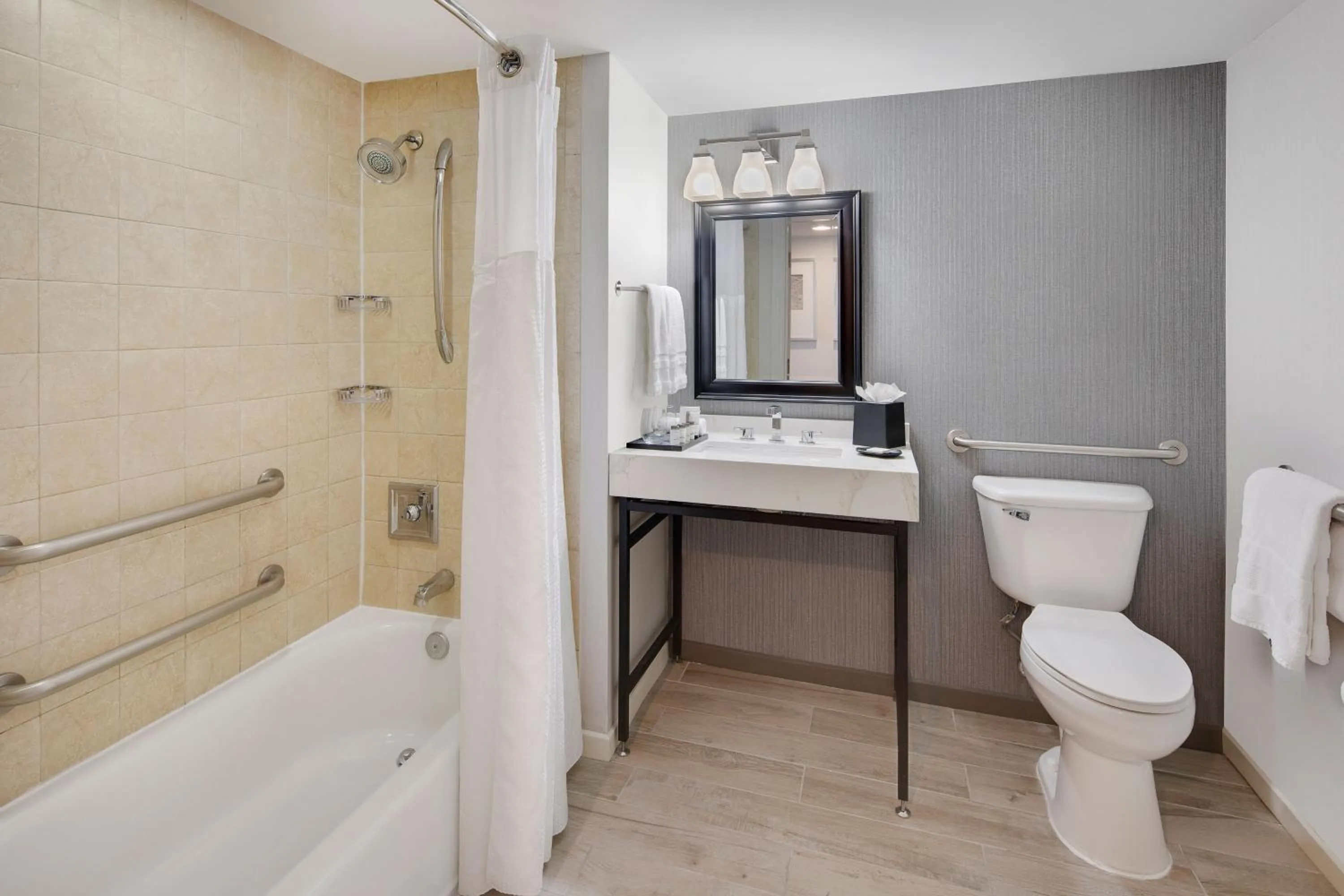 Bathroom in Sheraton Orlando North