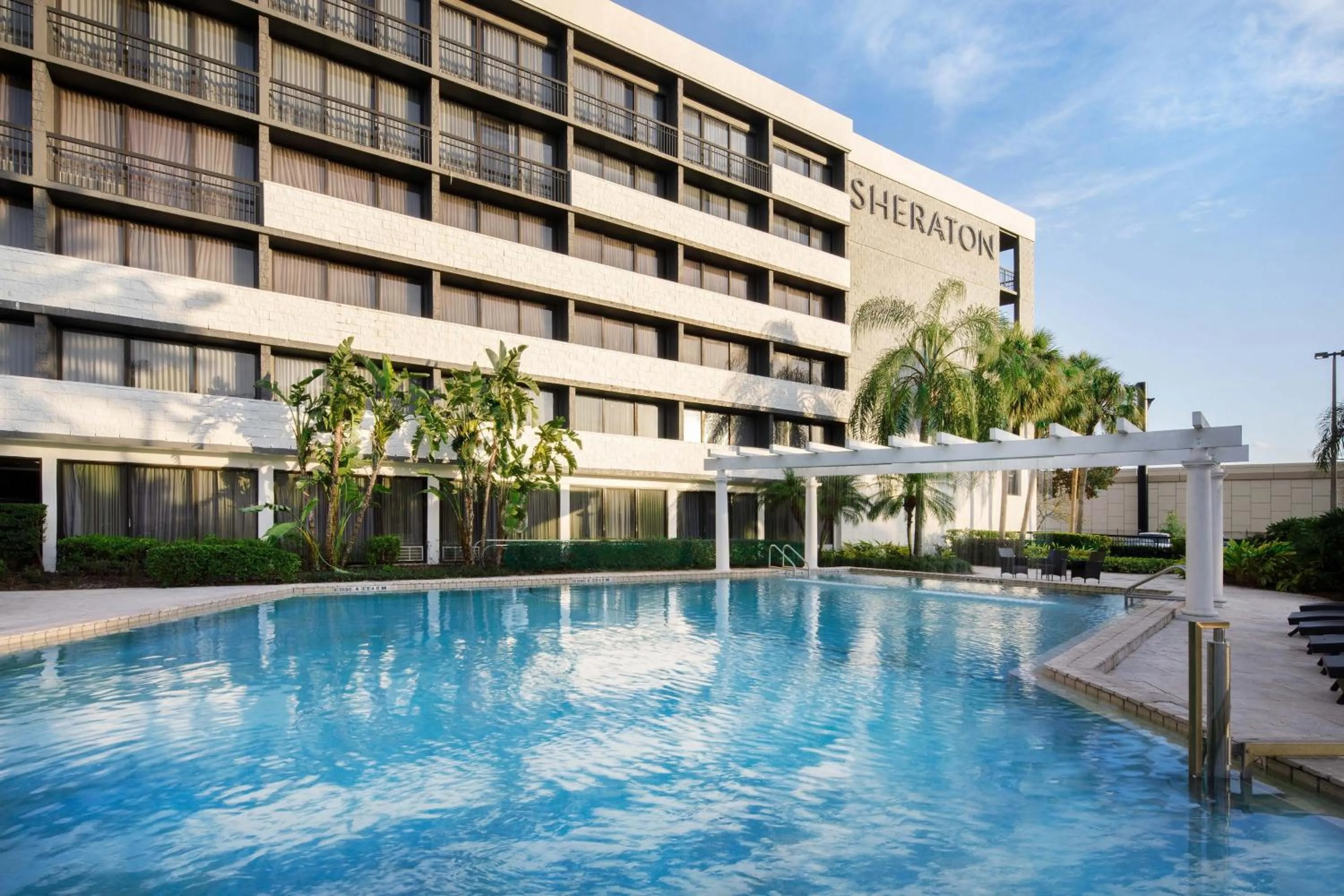 Swimming pool in Sheraton Orlando North