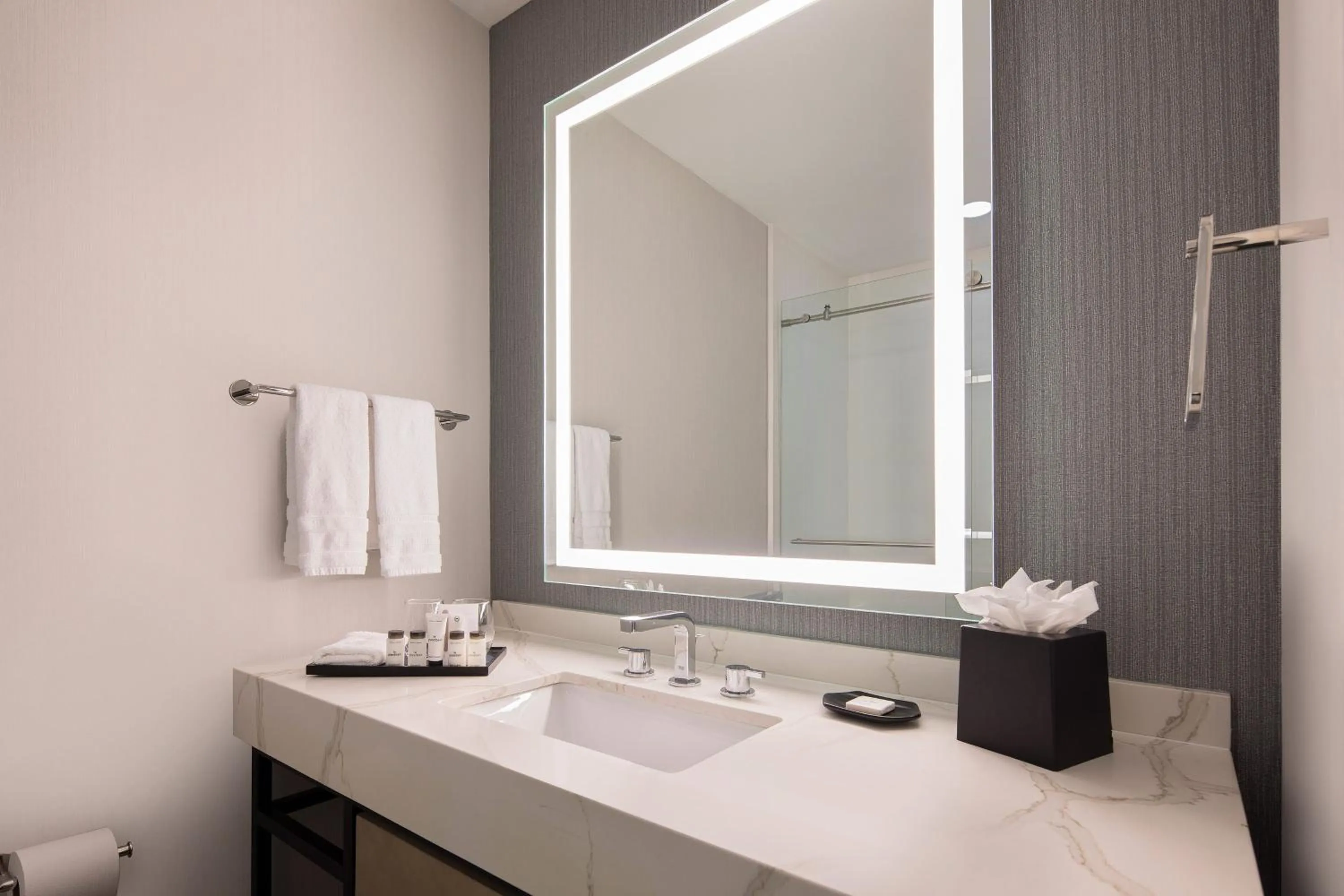 Bathroom in Sheraton Orlando North