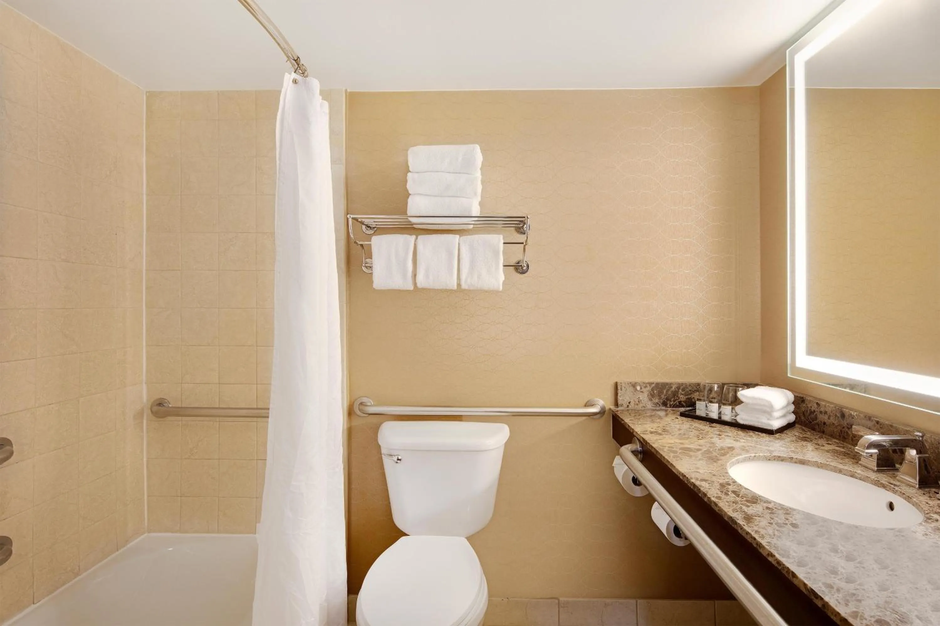 Bathroom in Sheraton Orlando North