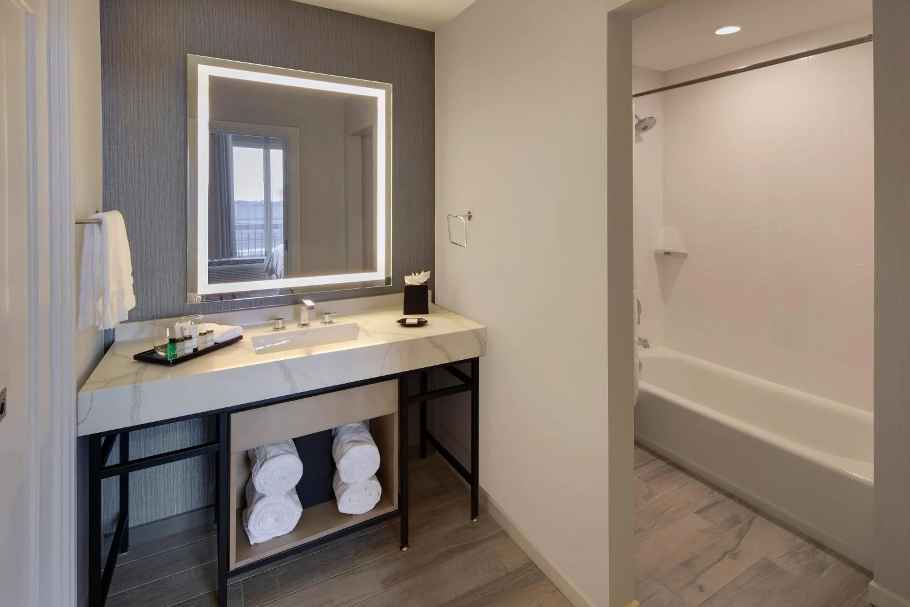 Bathroom in Sheraton Orlando North