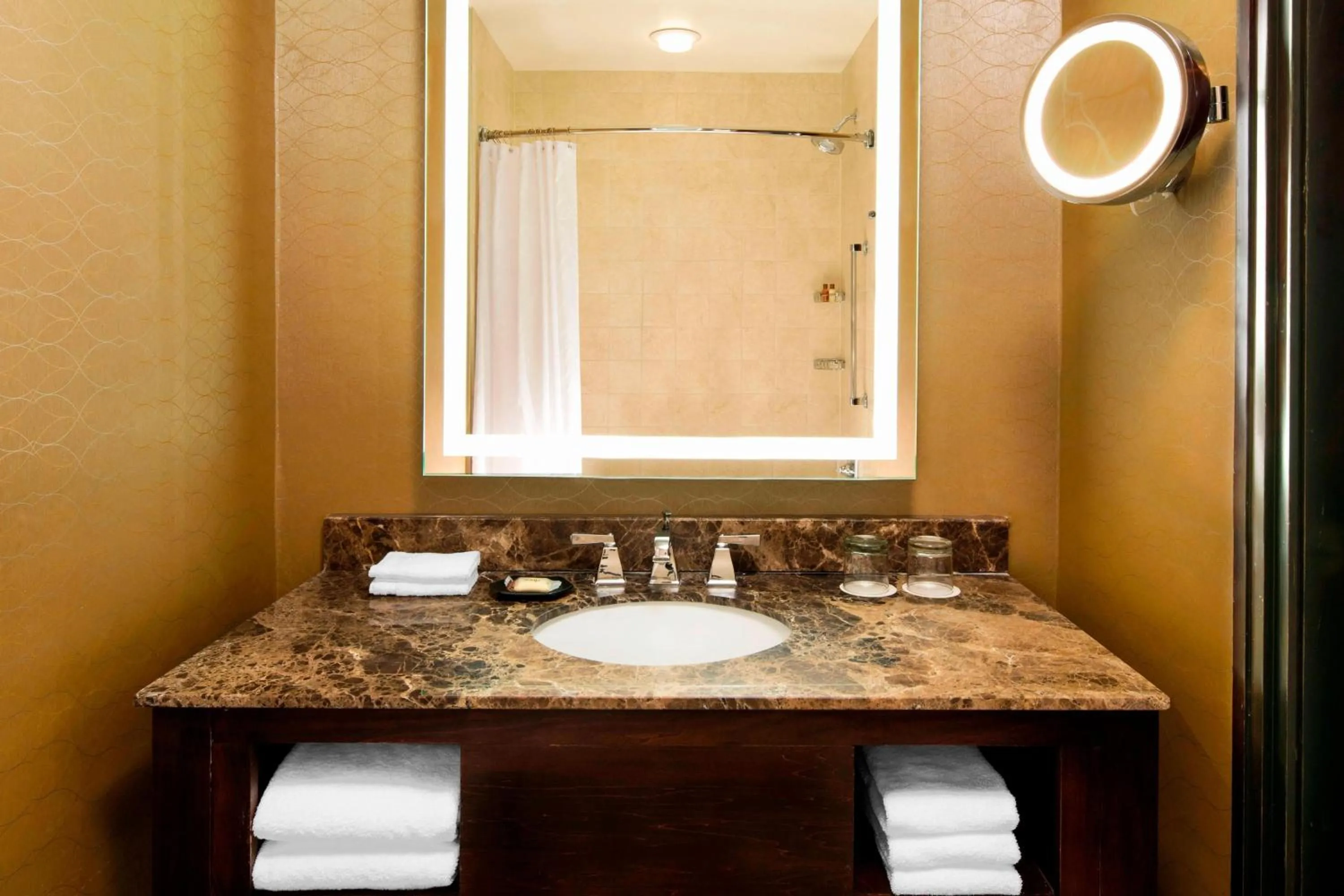 Bathroom in Sheraton Orlando North